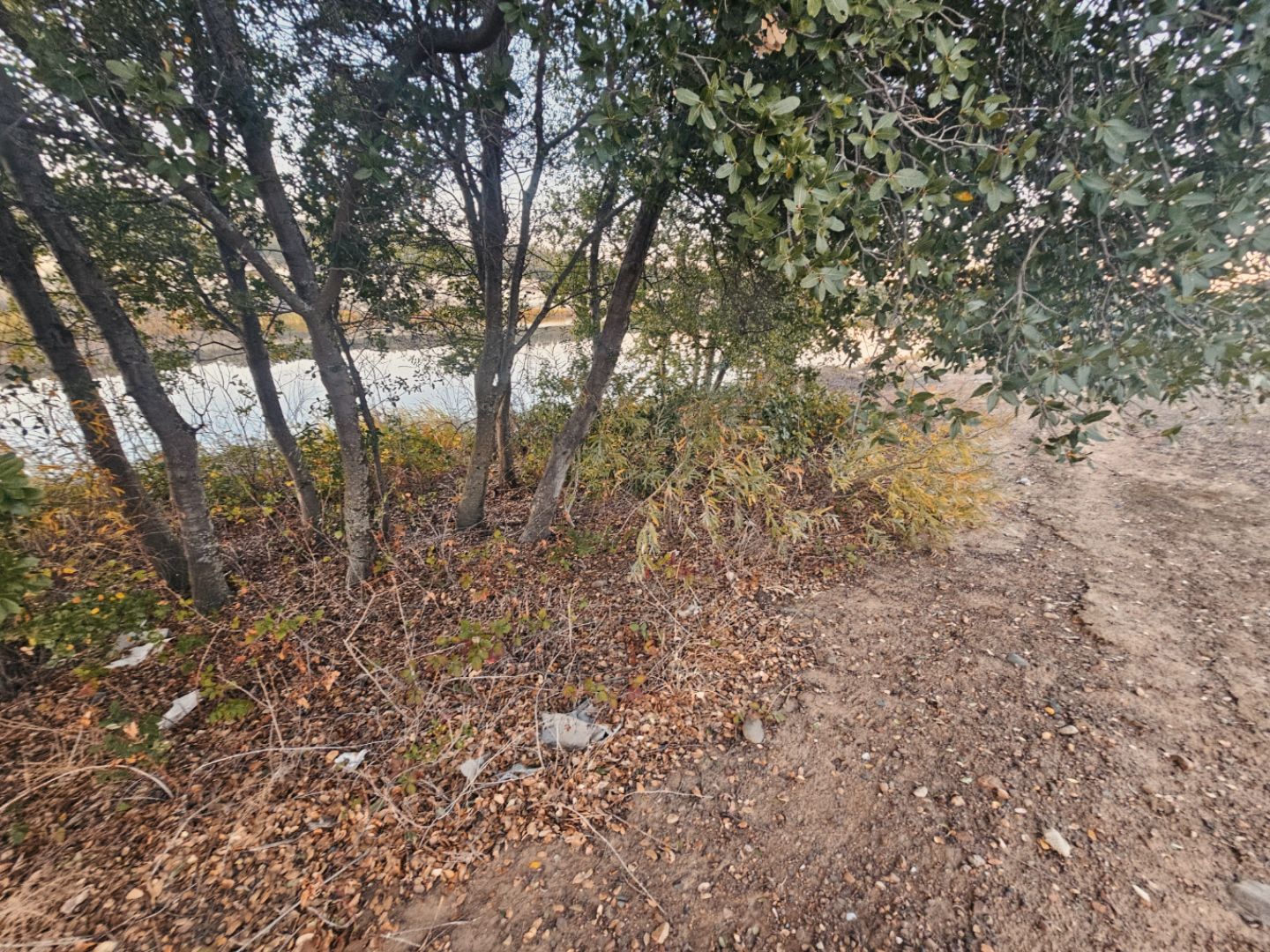 Earthwork/Grading for Austin LoBue Construction in Cottonwood, CA