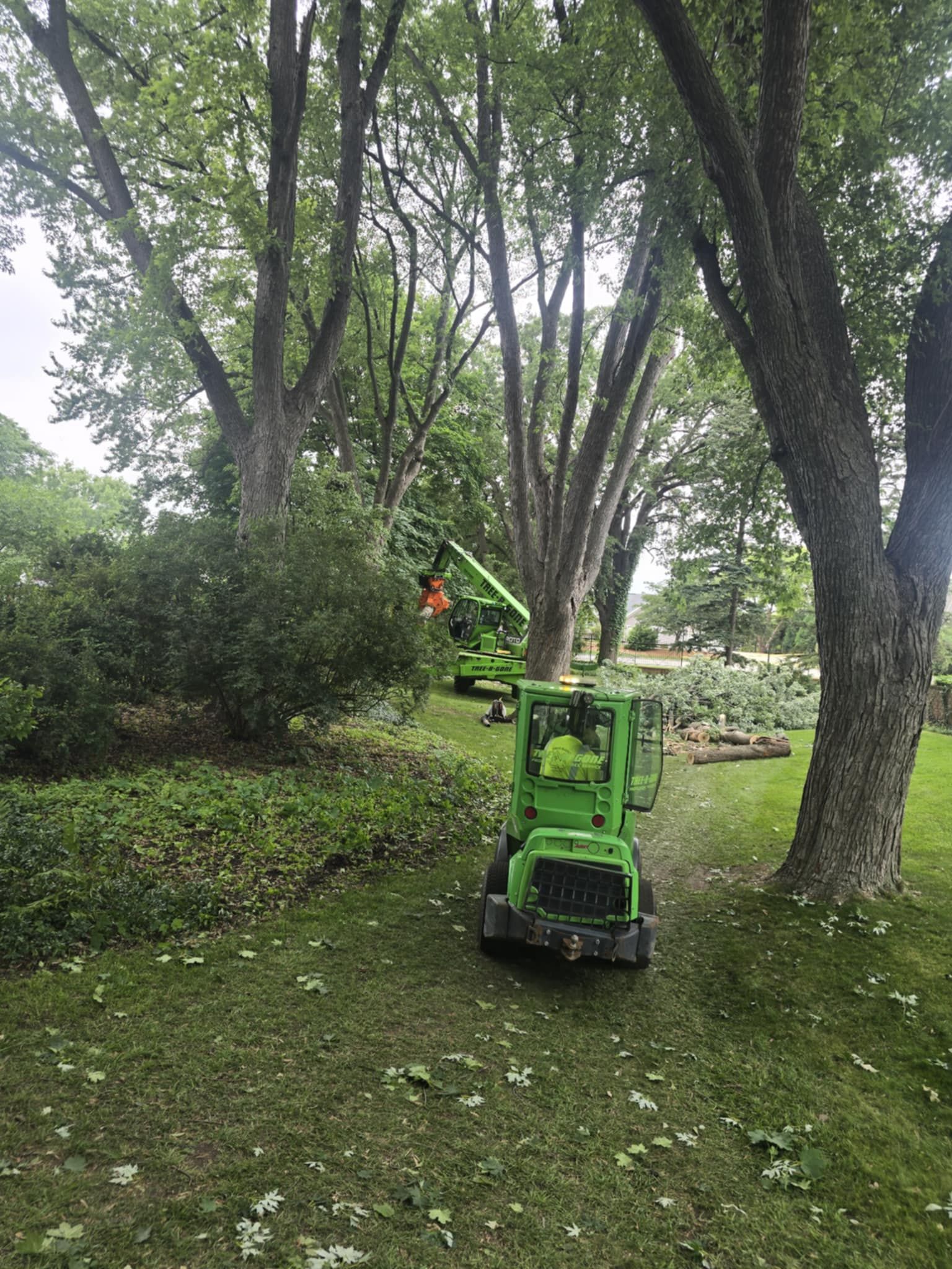 All Photos for Tree-B-Gone in Shawano, WI