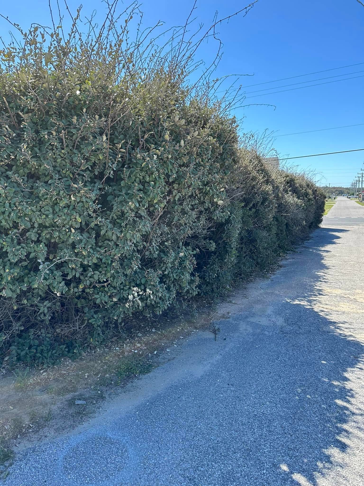  for Cahoon's Coastal Lawn Care Services in Manteo, NC