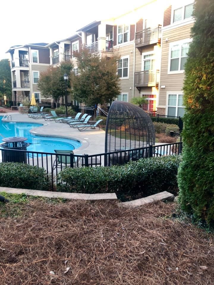  for Pecina Pine Needles in Monroe, NC
