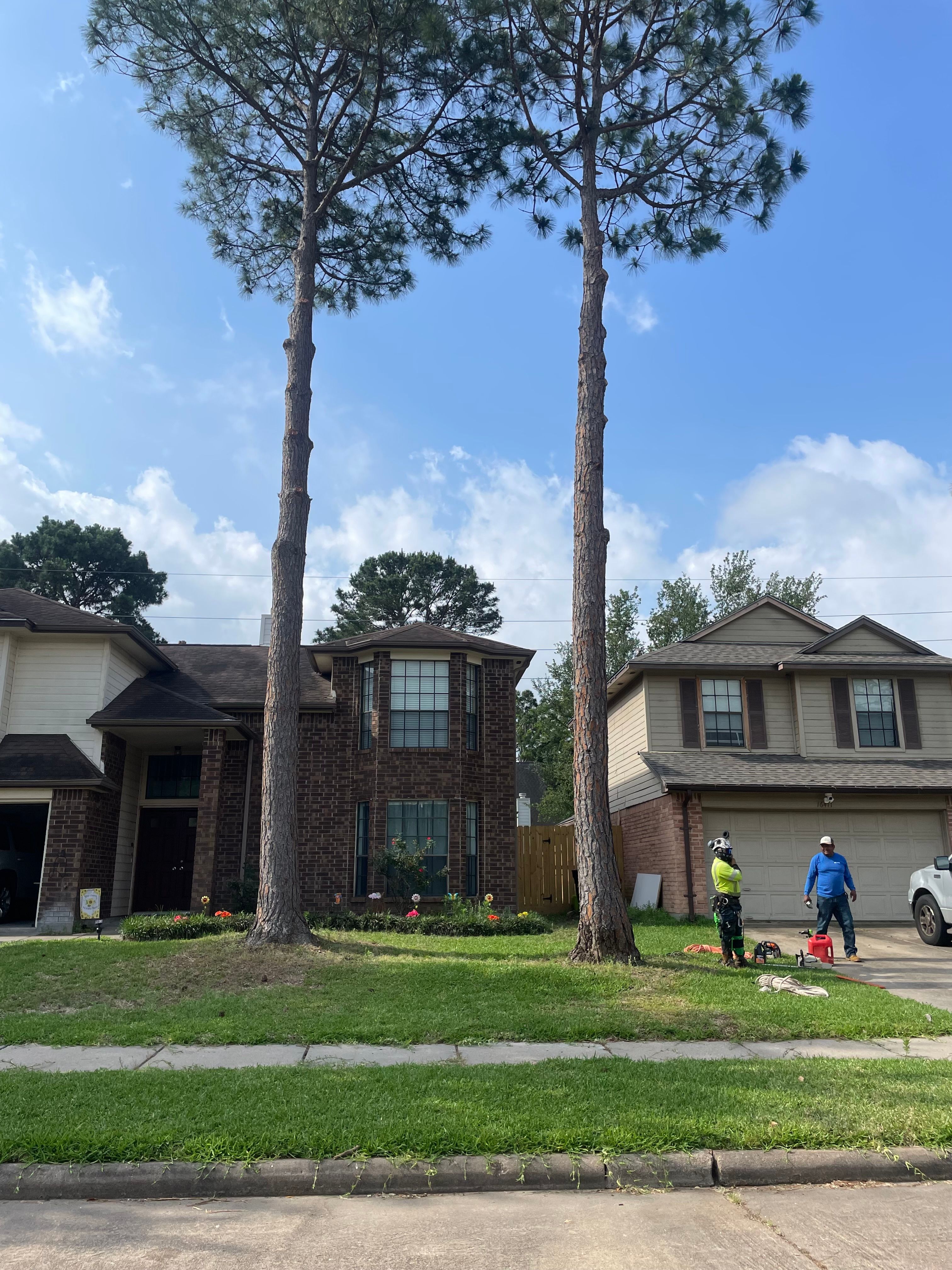 All Photos for Exclusive Demolition & Tree Service in Houston, TX
