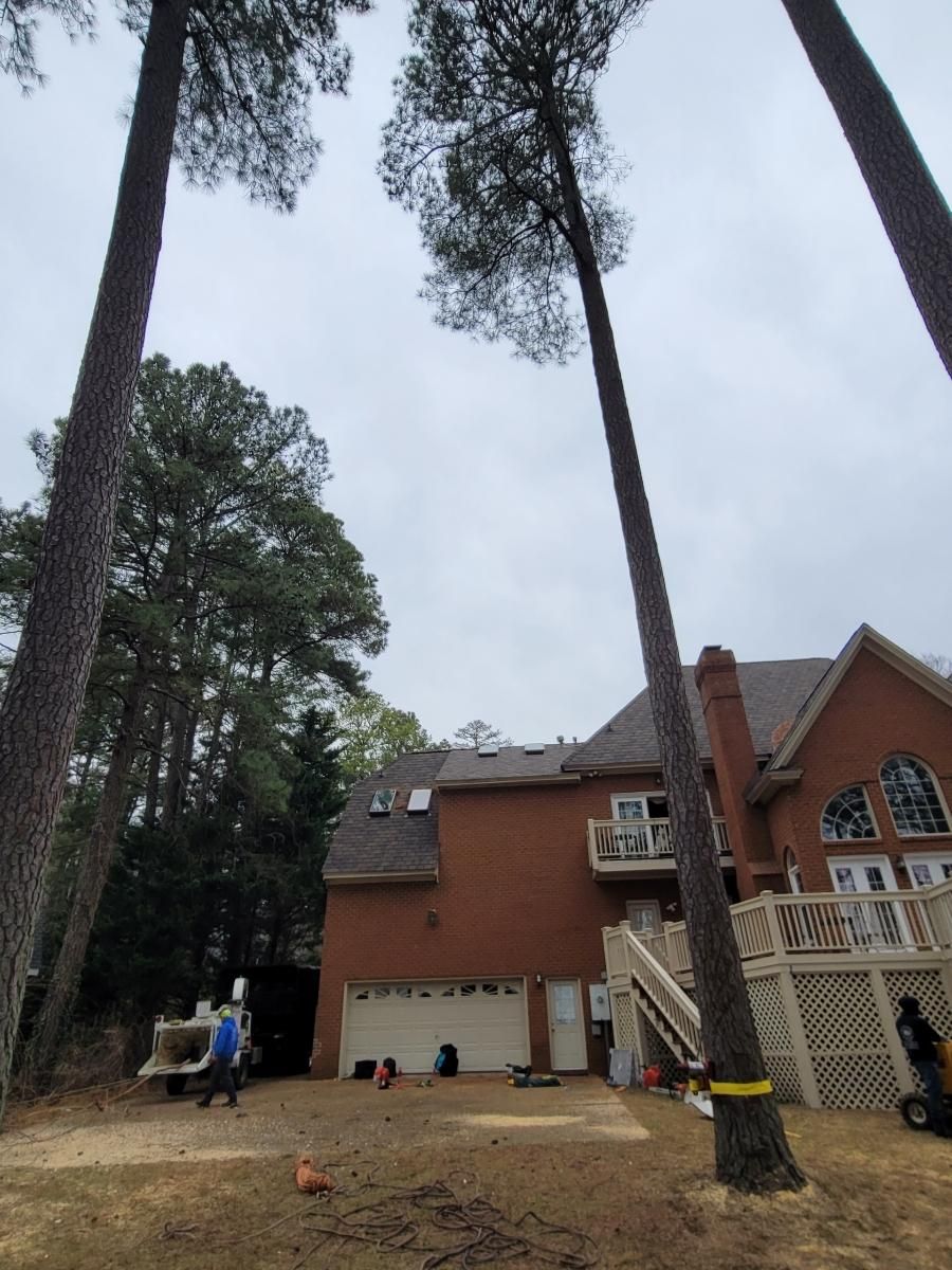  for Integrity Tree and Landscaping in Lynchburg, VA