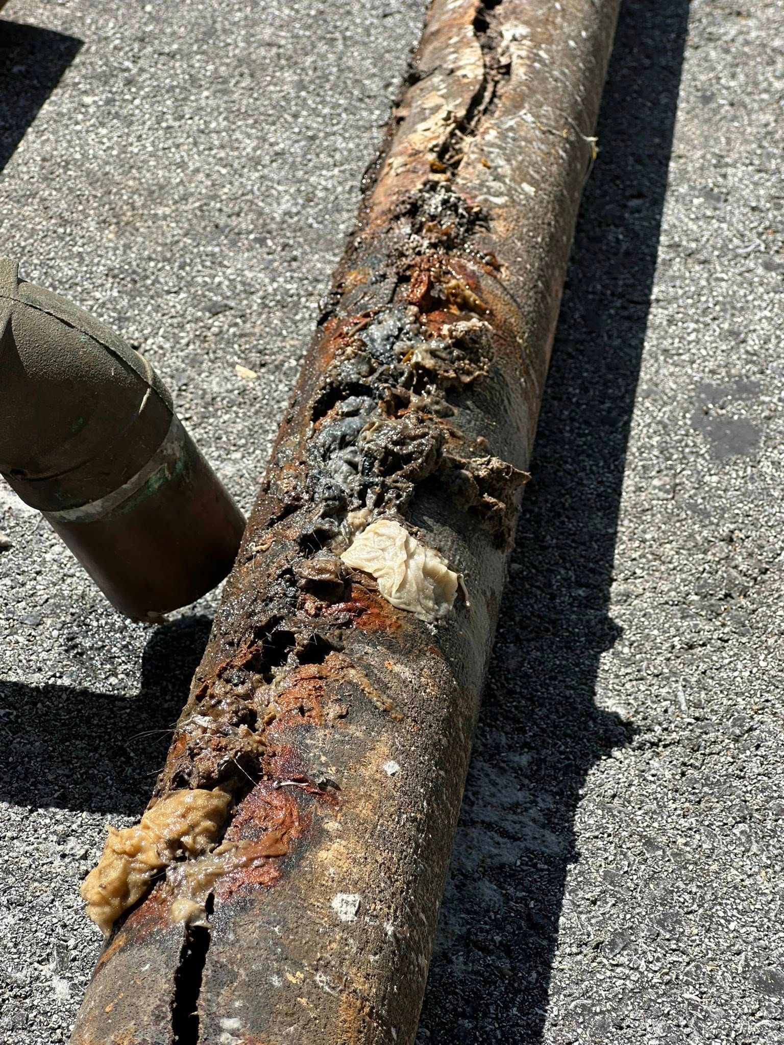  for Drain Pro Plus in Essex, MD