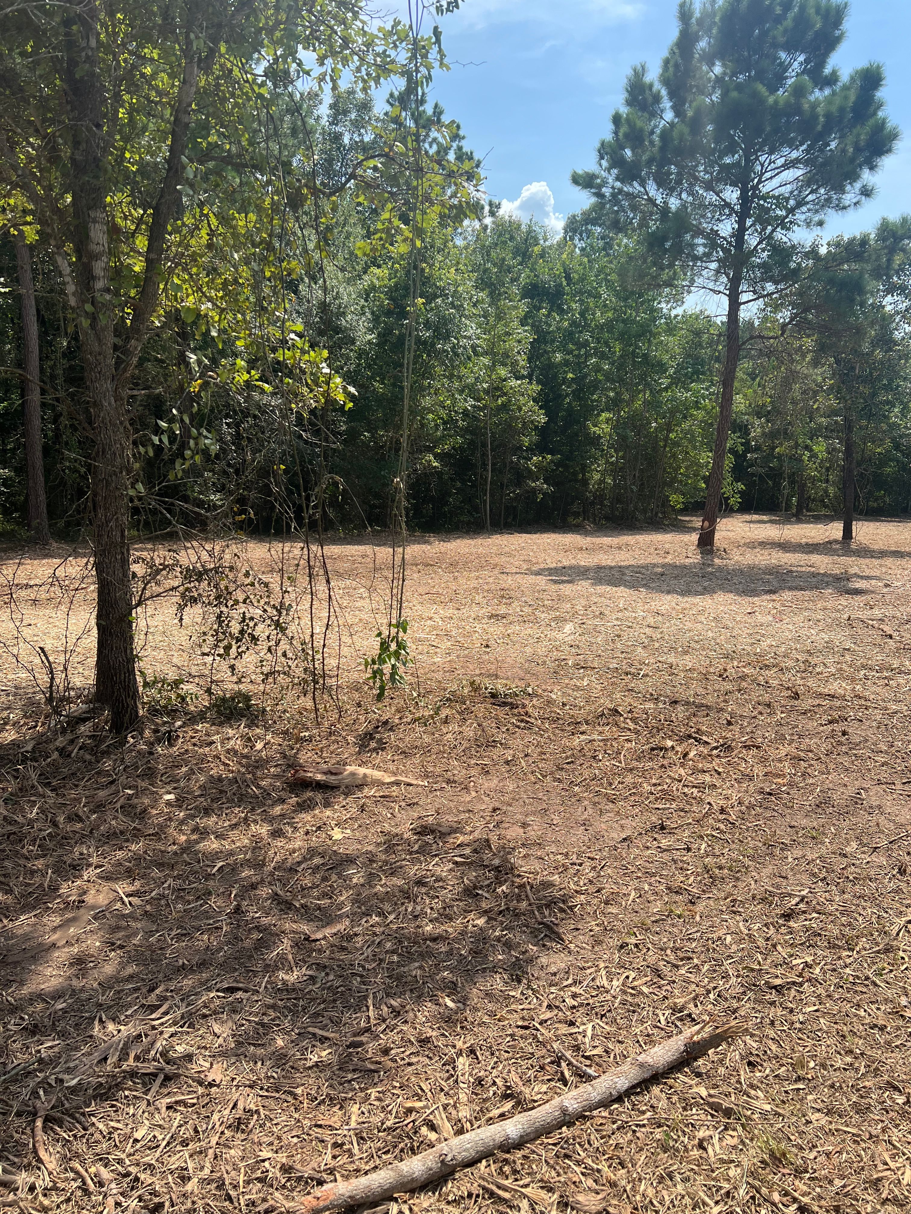  for 903 Mulching in East Mountain, TX