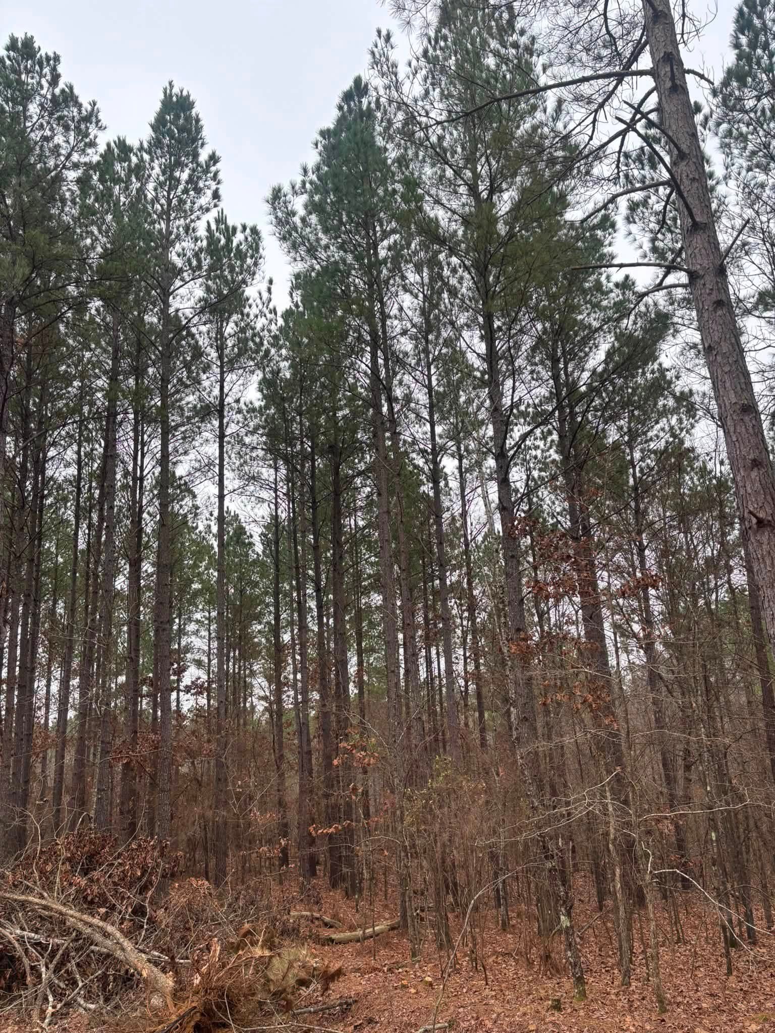  for Ross Excavation & Land Development in Middleton, TN