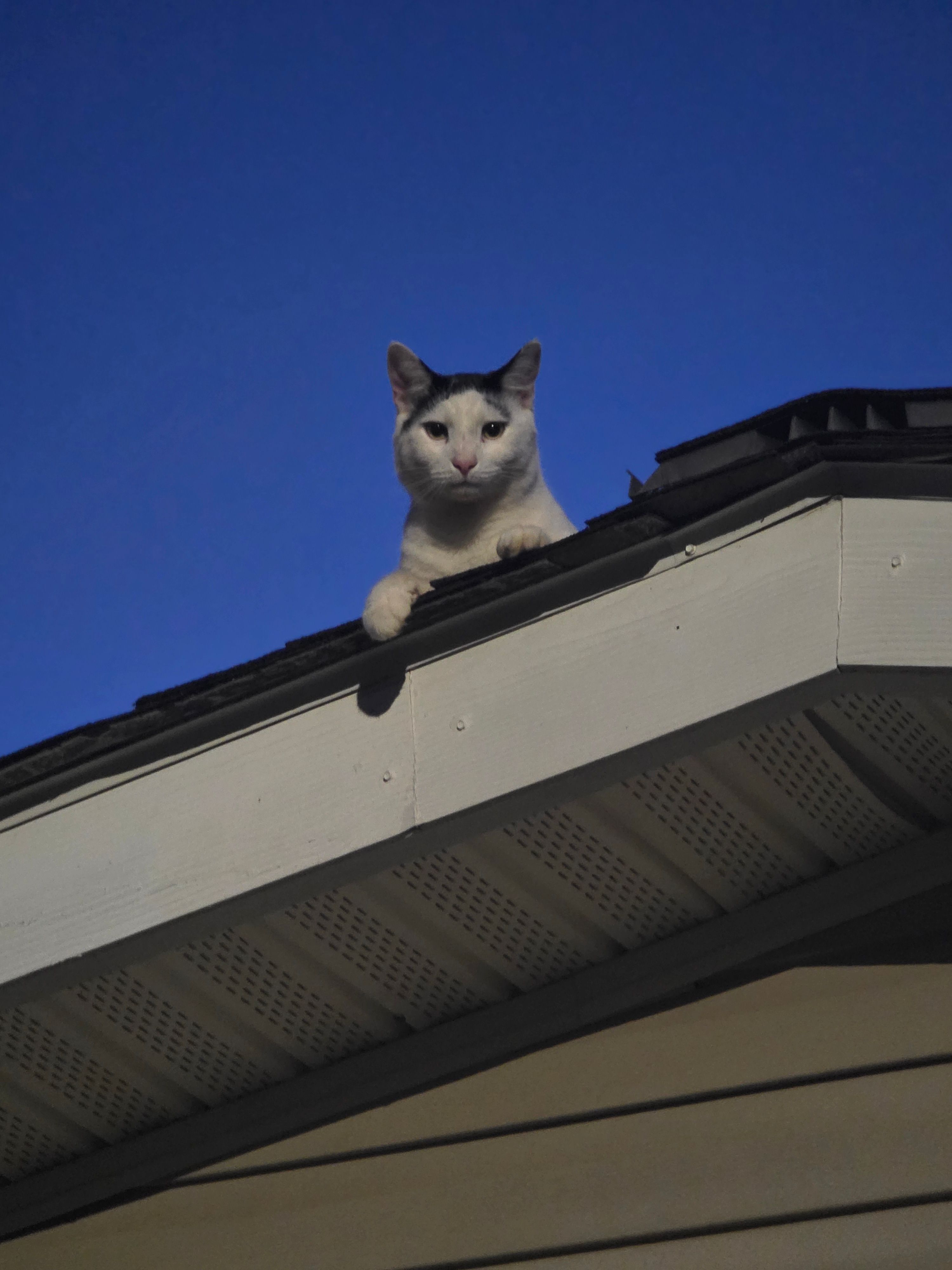  for Branham's Custom Roofing in Laurens, SC