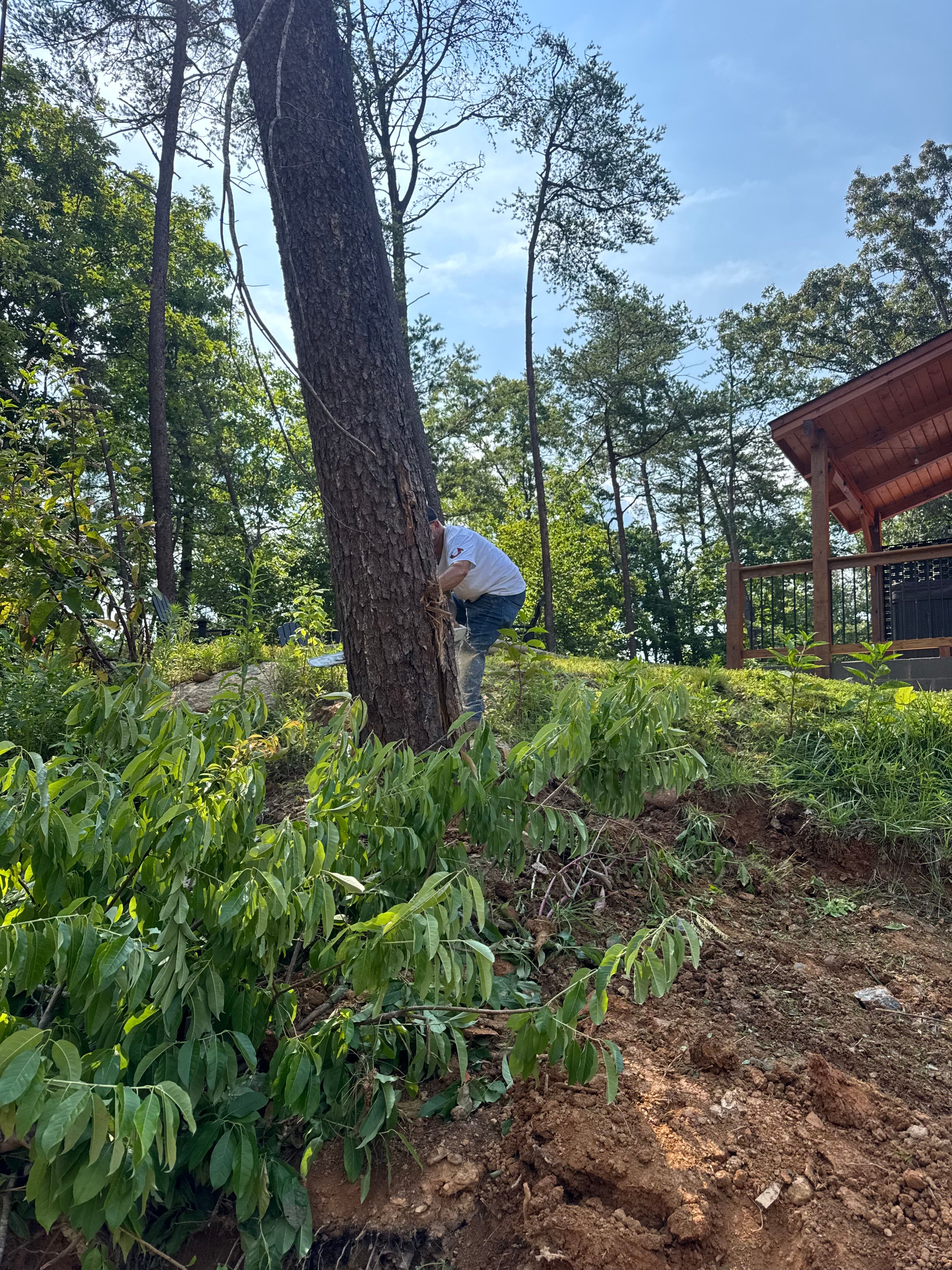  for ProModern Construction, LLC in Seymour, TN