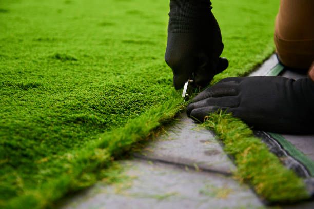  for Lane Landscaping in Beaumont, TX
