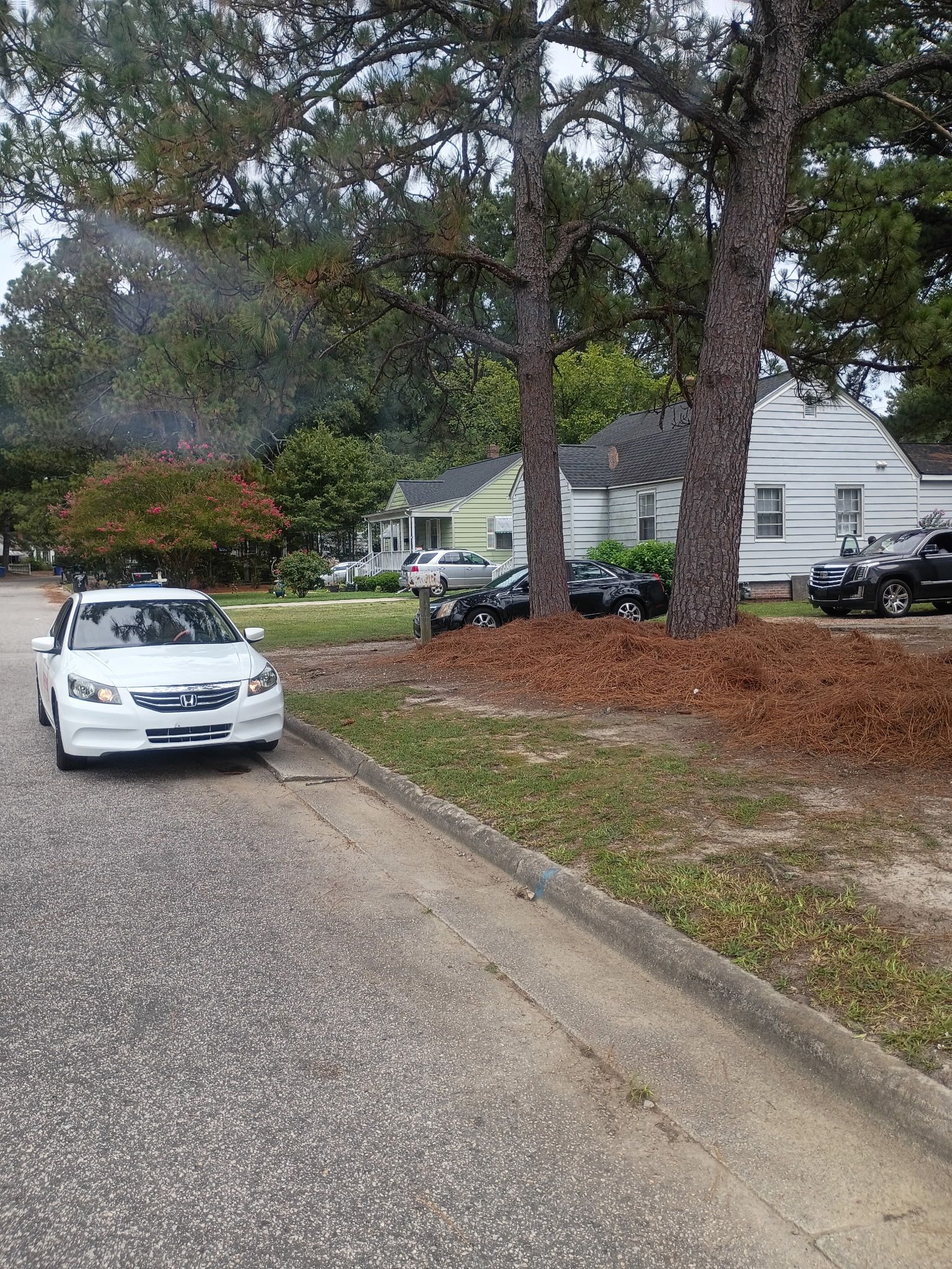  for Brothers On Point Lawn And Junk Removal in Wilson, NC