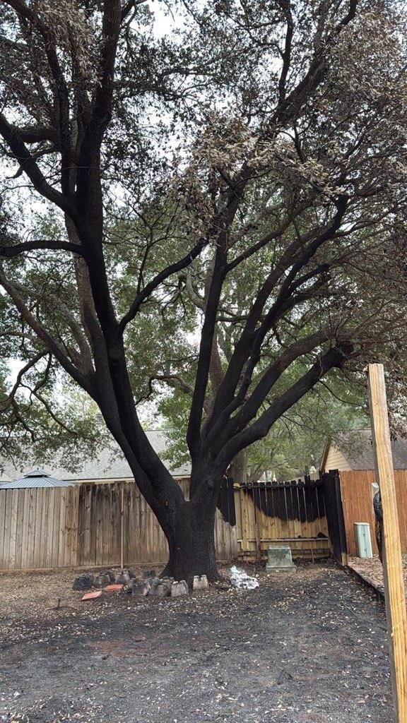  for Servin's Tree Care  in Houston, TX