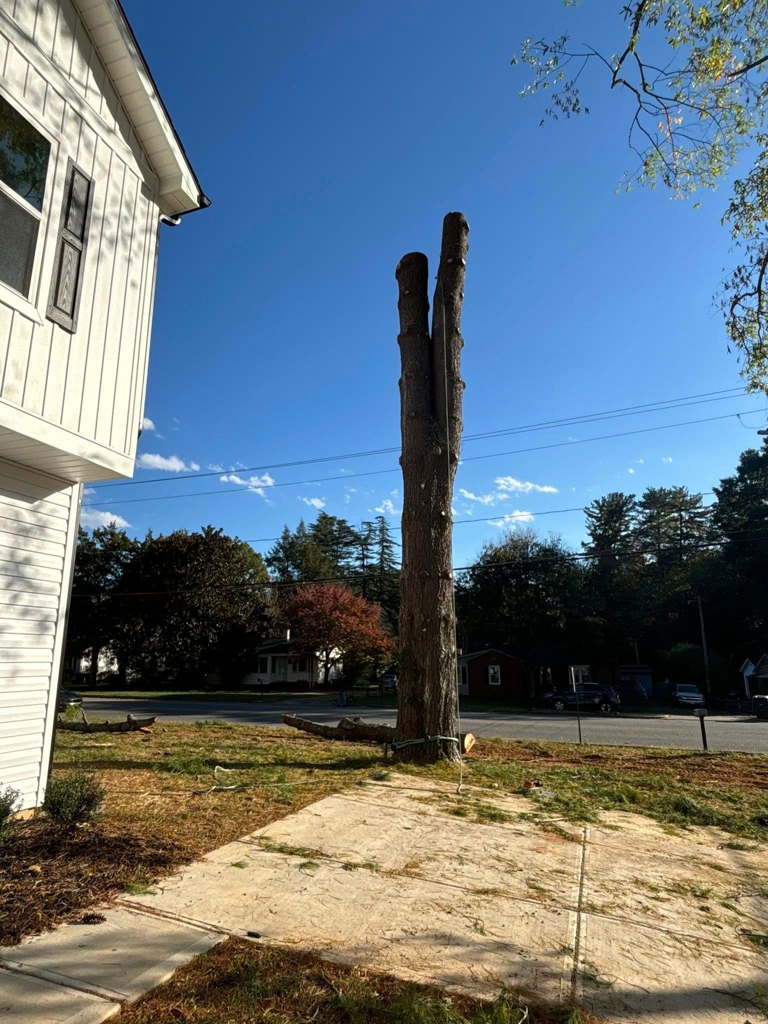  for Total Tree Care in Erwin, North Carolina