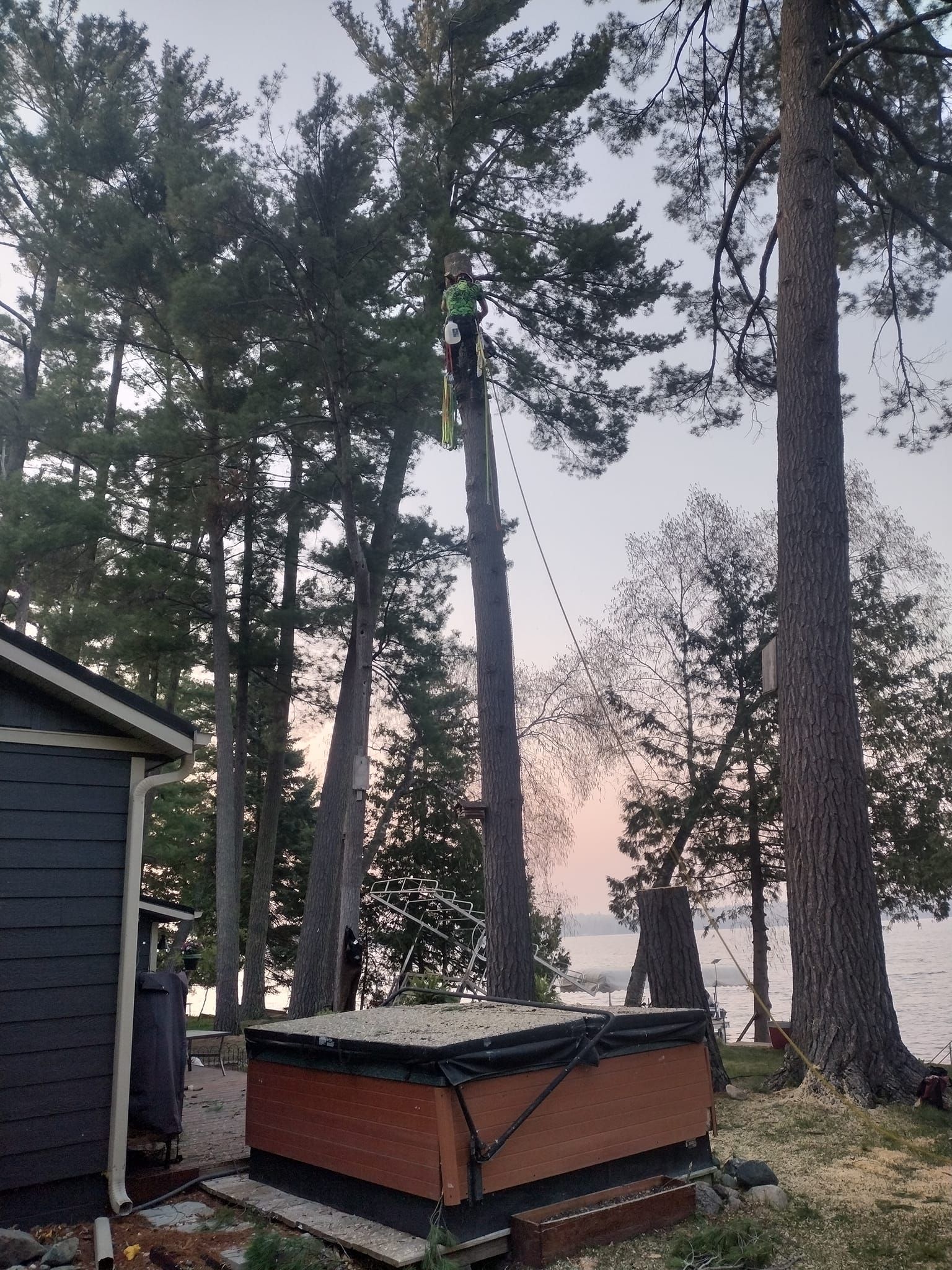  for Dan's Tree Service LLC in Bemidji, MN