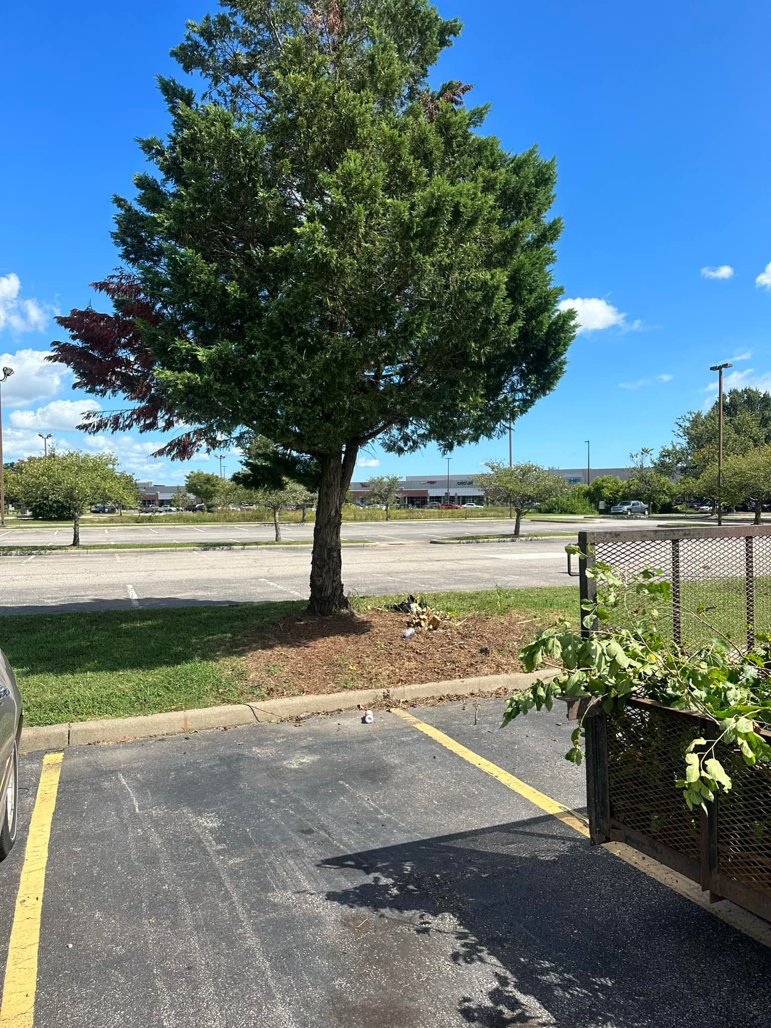  for Cahoon's Coastal Lawn Care Services in Manteo, NC