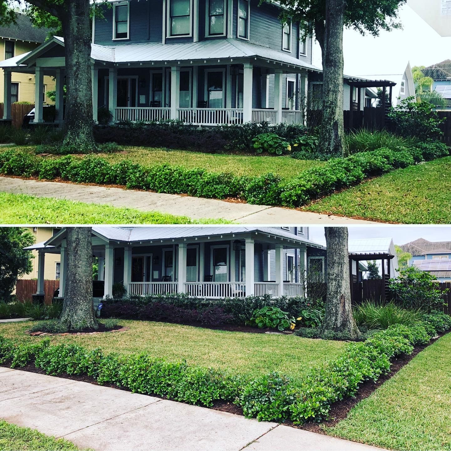  for Wicked Weeds Propertycare in Tampa, Florida