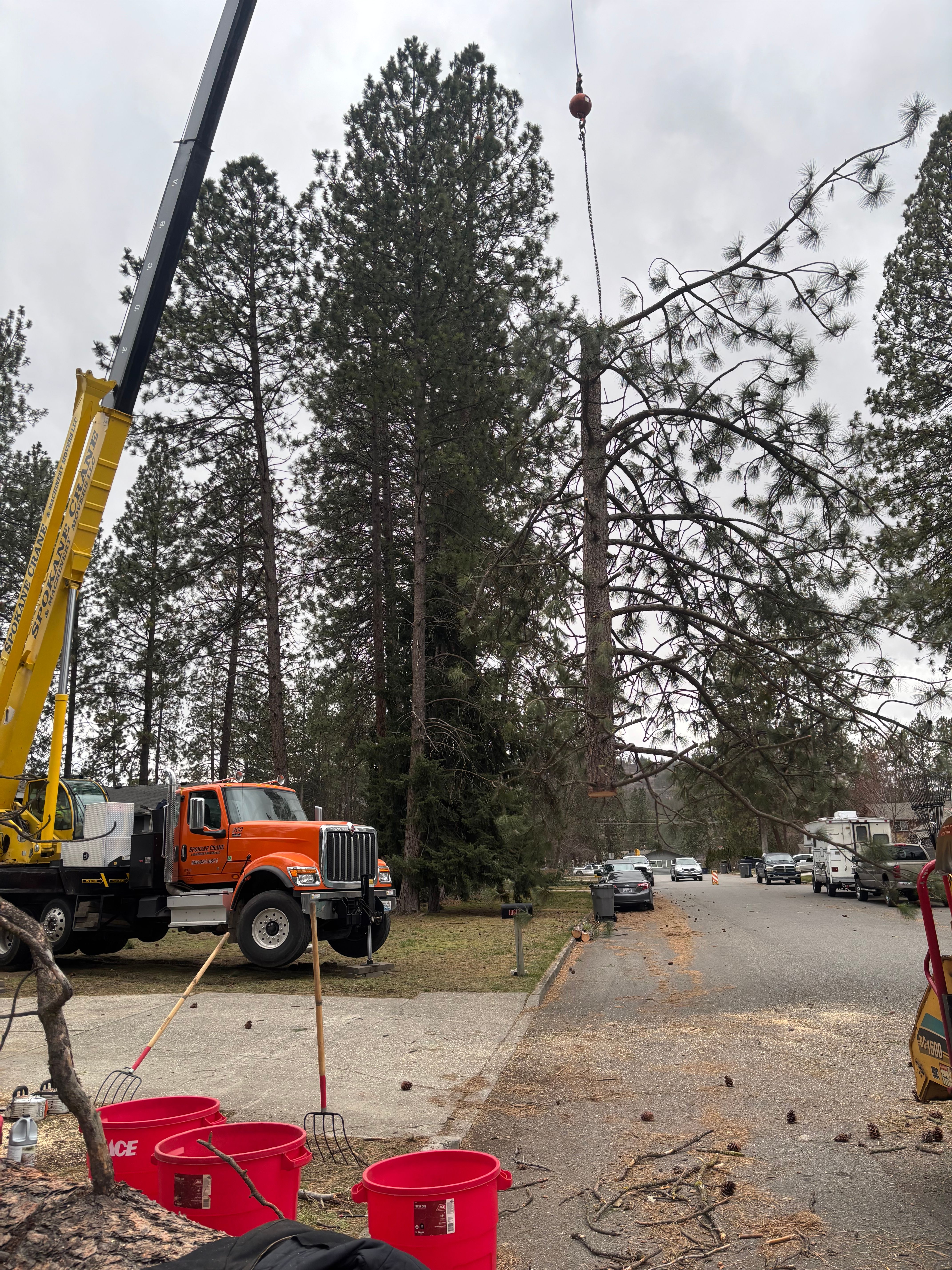  for AP Tree Service in Colbert, WA