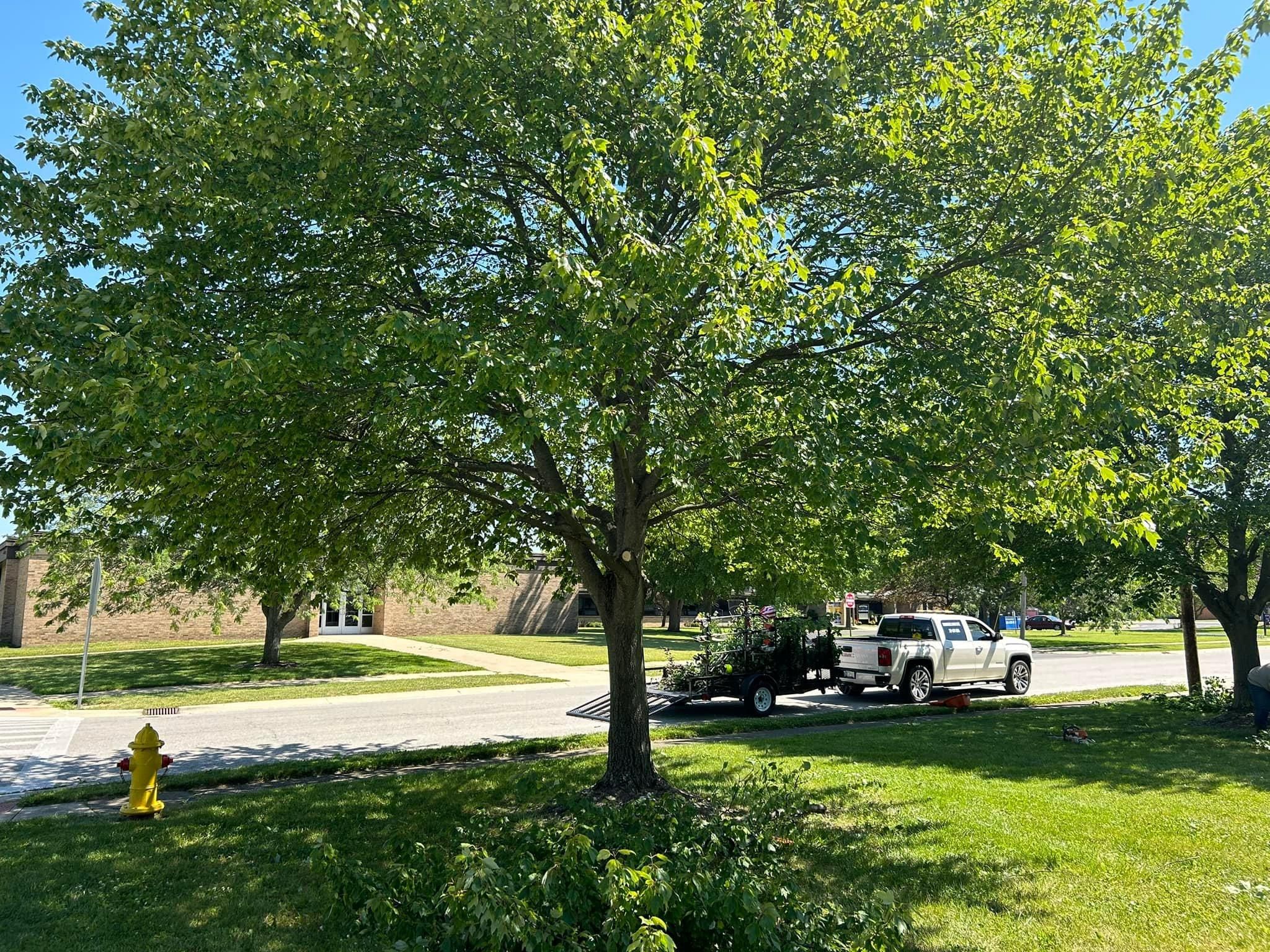  for Bearforce Lawn Care LLC in Greenfield, IN