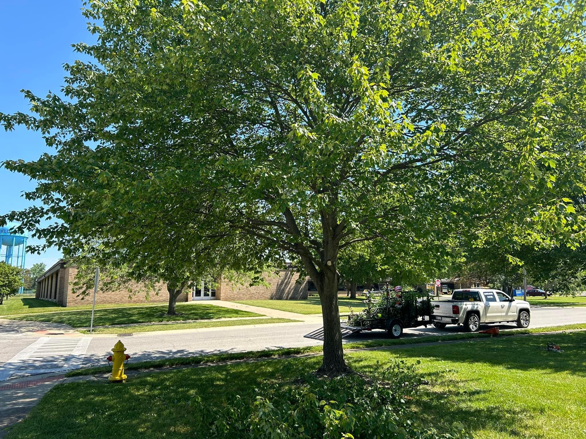  for Bearforce Lawn Care LLC in Greenfield, IN