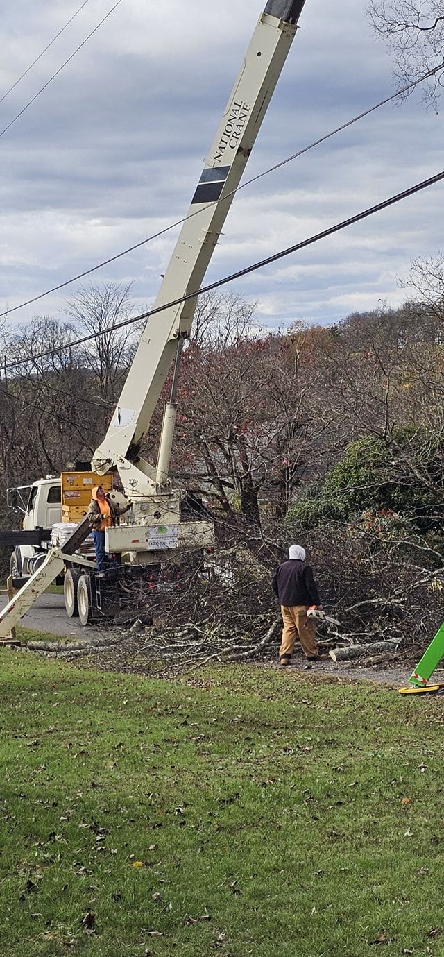  for Reagan & Sons Tree Service in Dandridge, TN