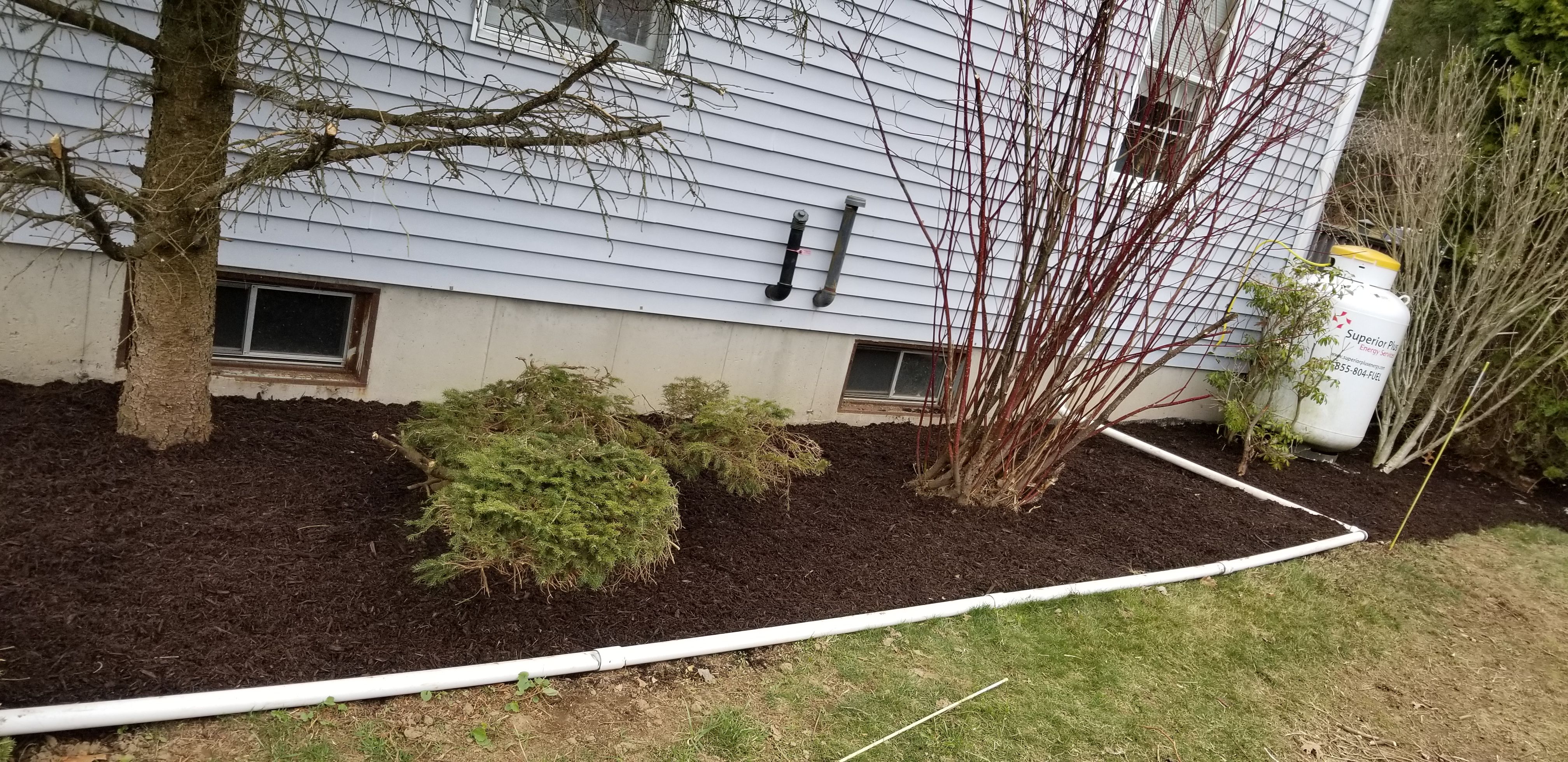 Flower & Tree Planting for Landscape Innovations LLC in Torrington, CT