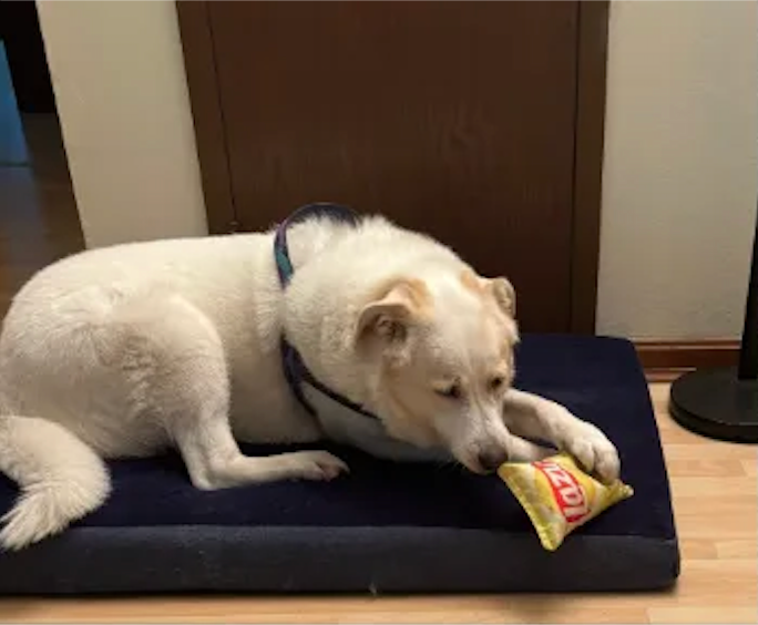  for Sullivan Sanctuary of Maine in Brunswick, ME