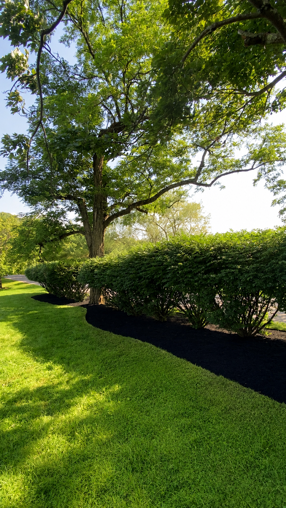  for Saul’s Landscaping Services in Jersey Shore, PA