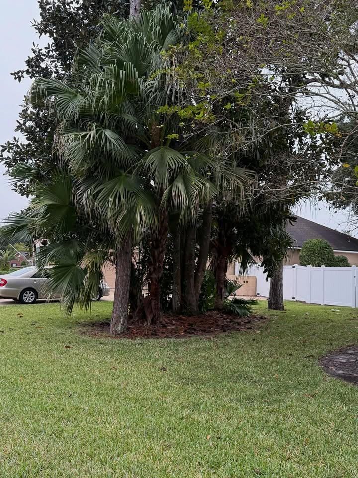  for Whole 9 Yards Services in Green Cove Springs, FL