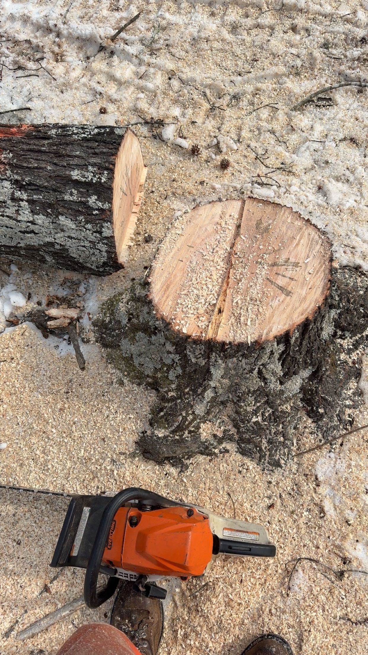  for Ramirez Tree Care in Elkin, NC