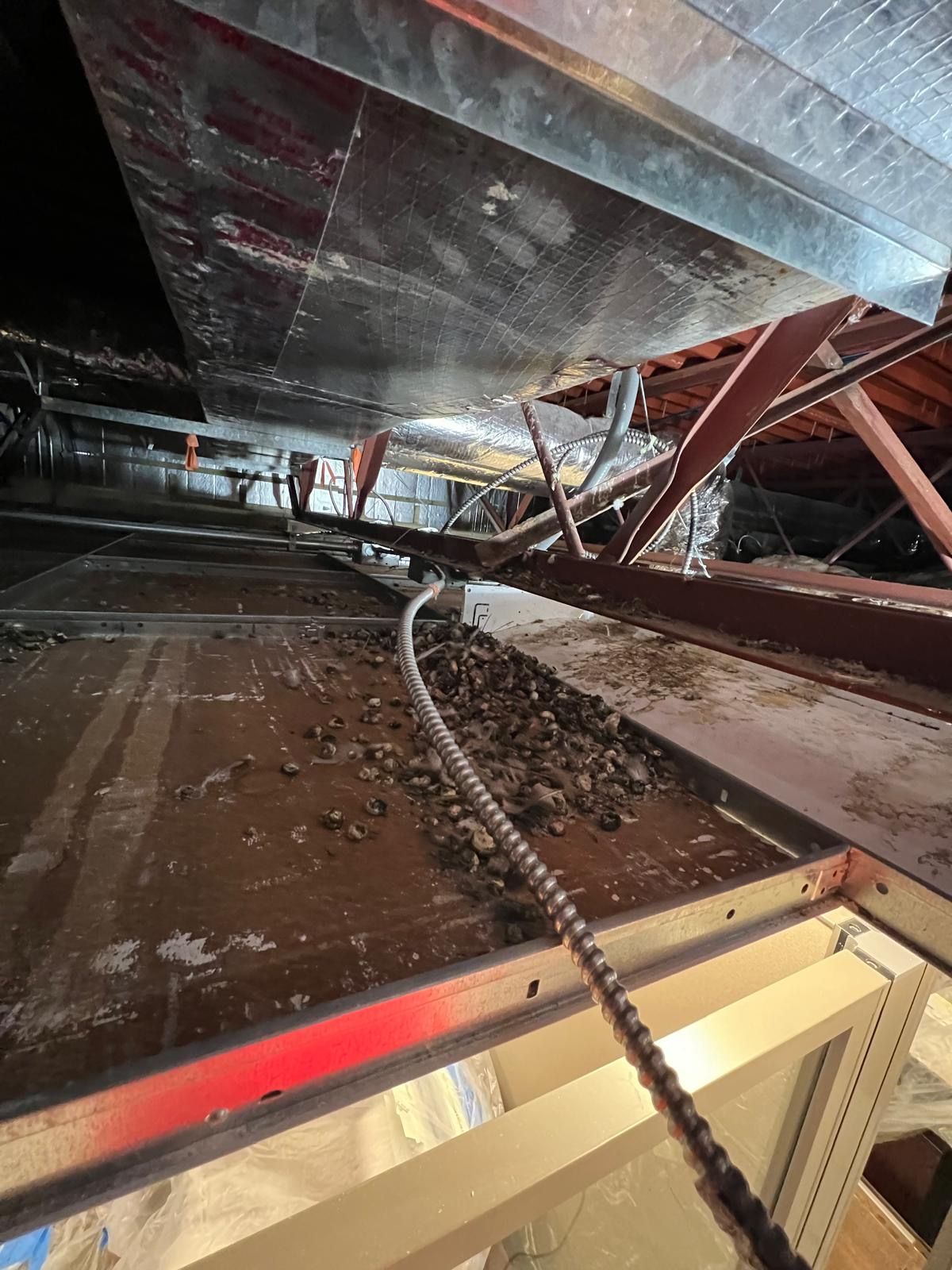  for N&D Restoration Services When Disaster Strikes, We Come In in Cape Coral,  FL