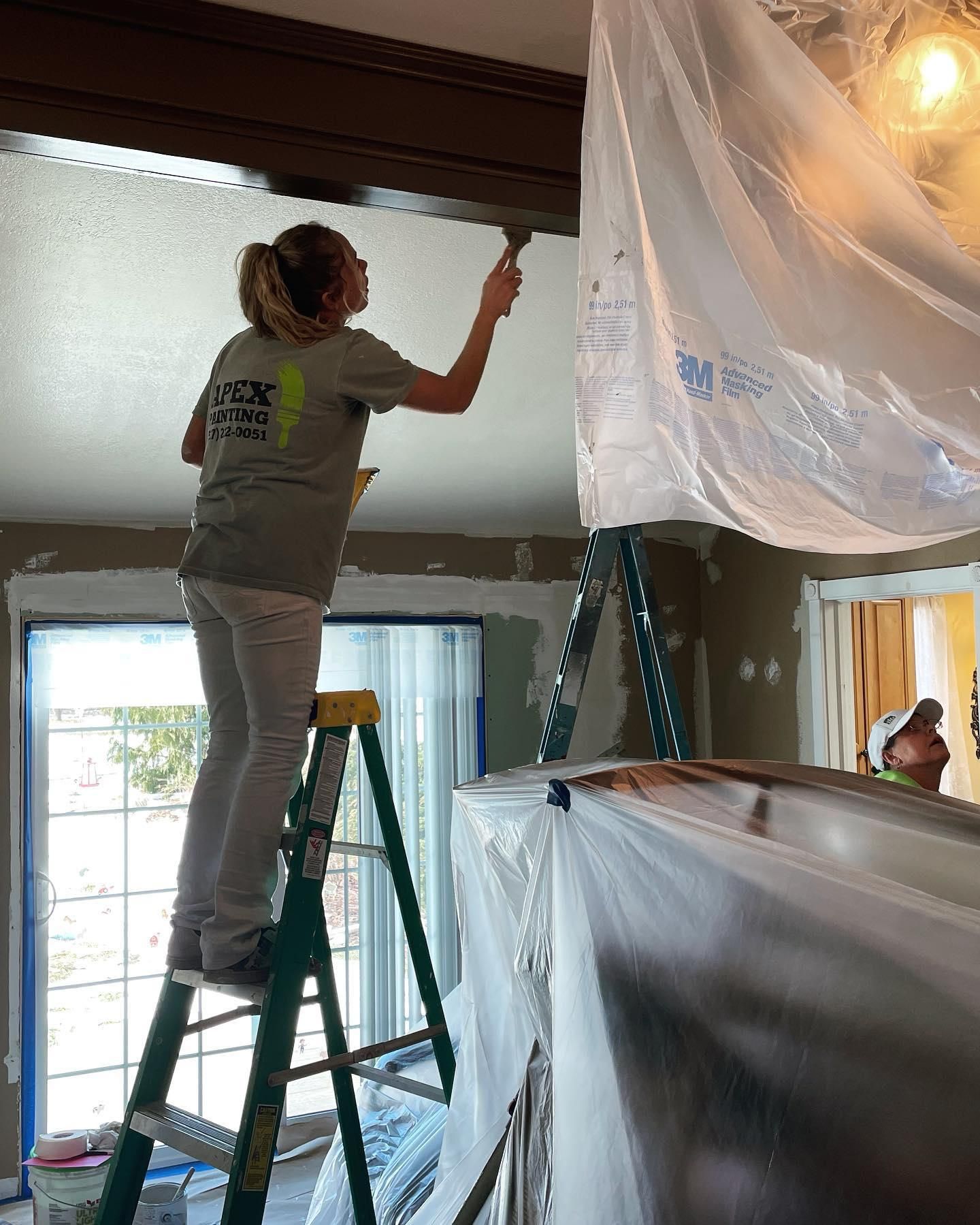  for Apex Painting in Livonia, MI