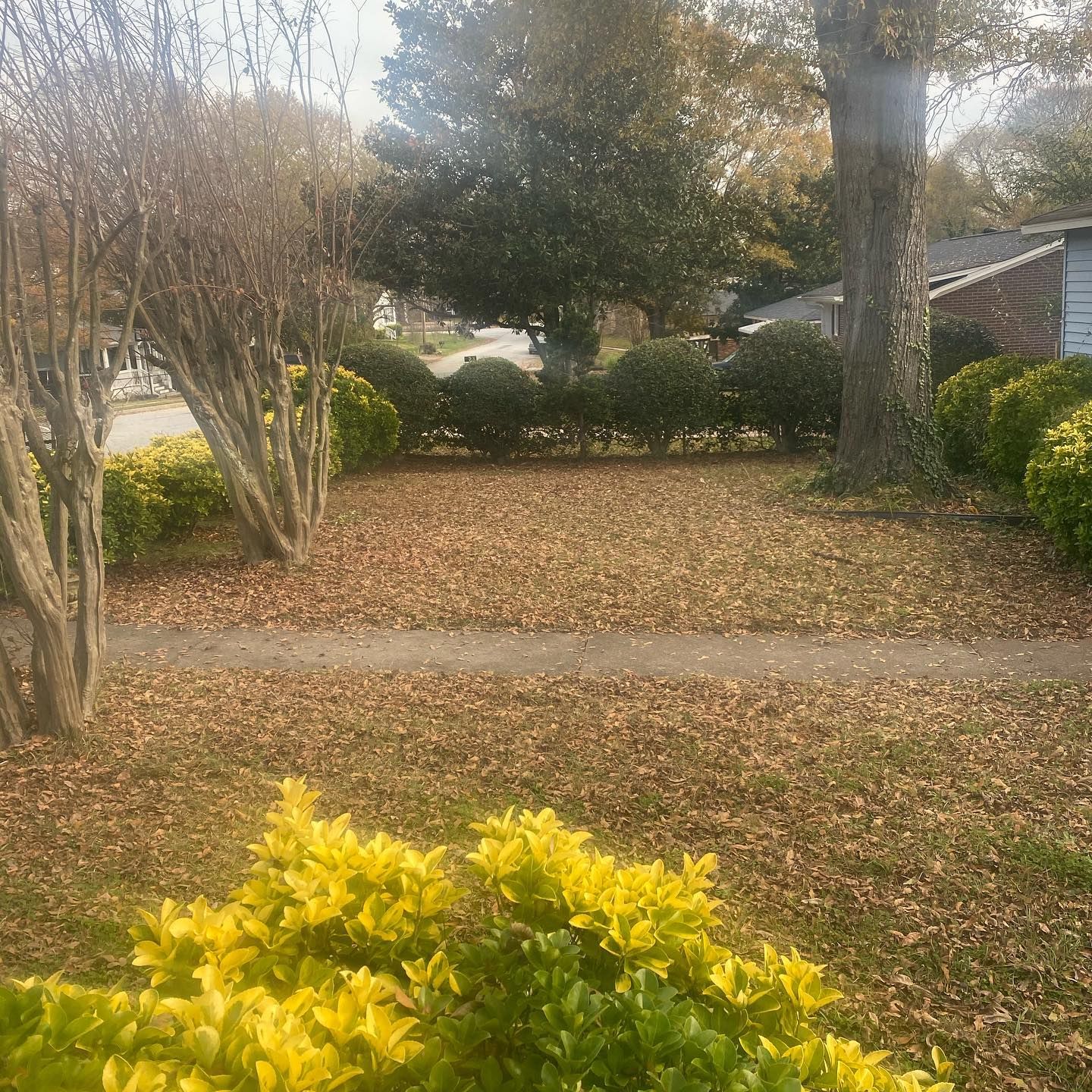 Landscaping for JIF Concrete Services in Greenville, SC