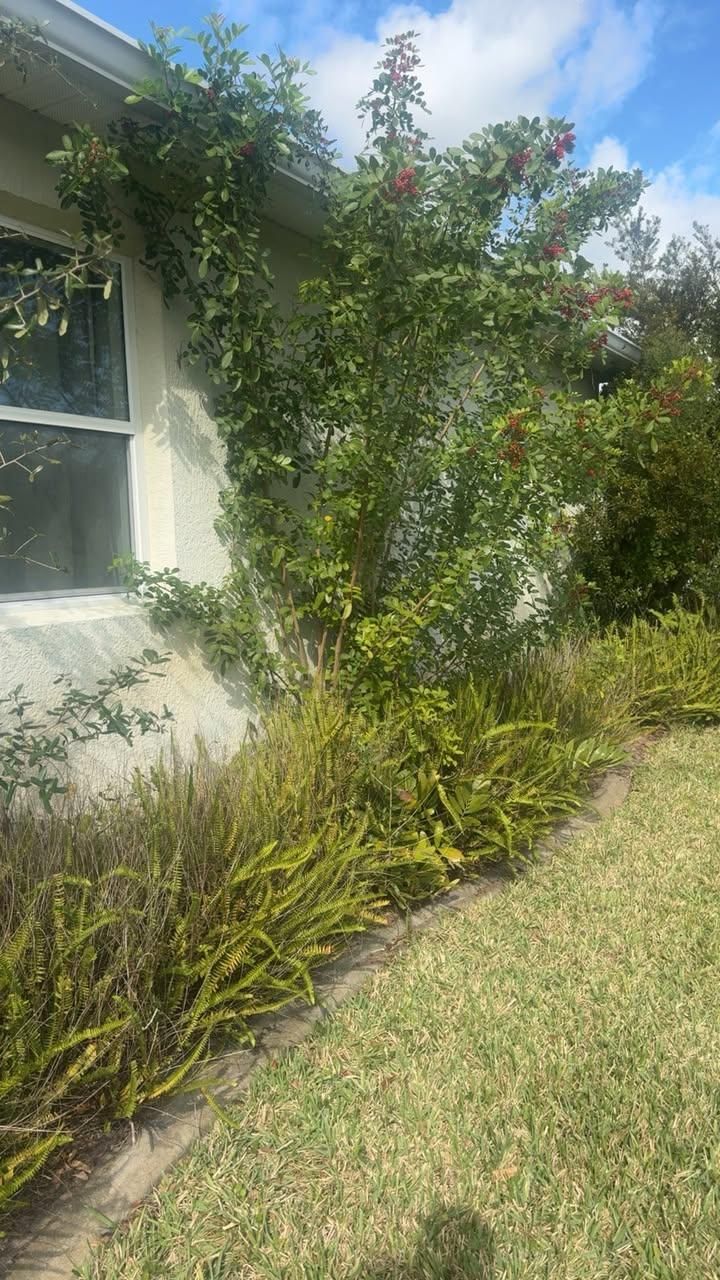  for Space Coast Property Maintenance and Management LLC in Brevard County, FL