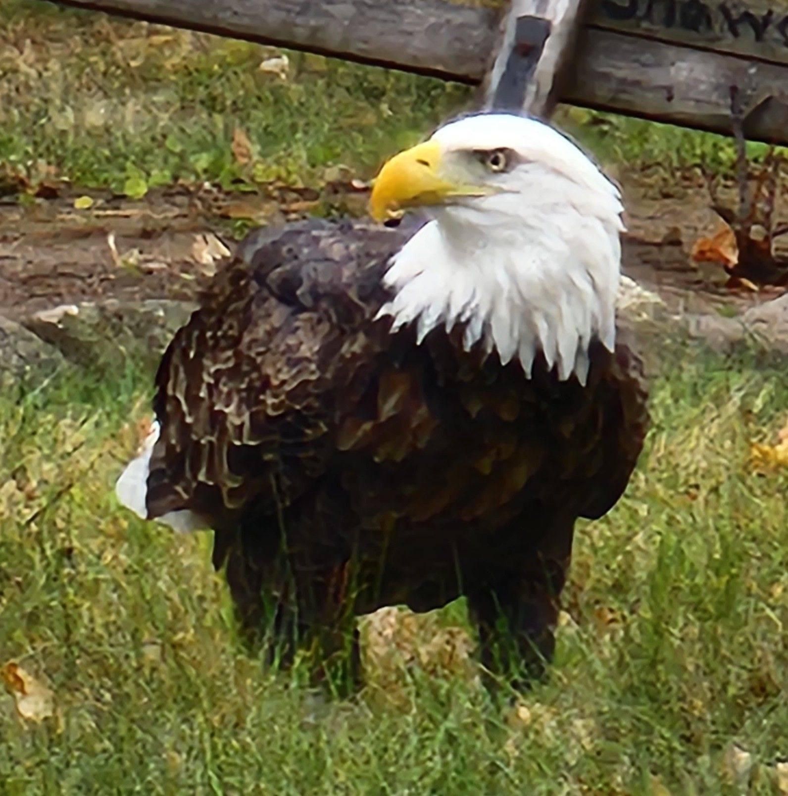 All Photos for Dragonfly Construction in Grand Junction, CO