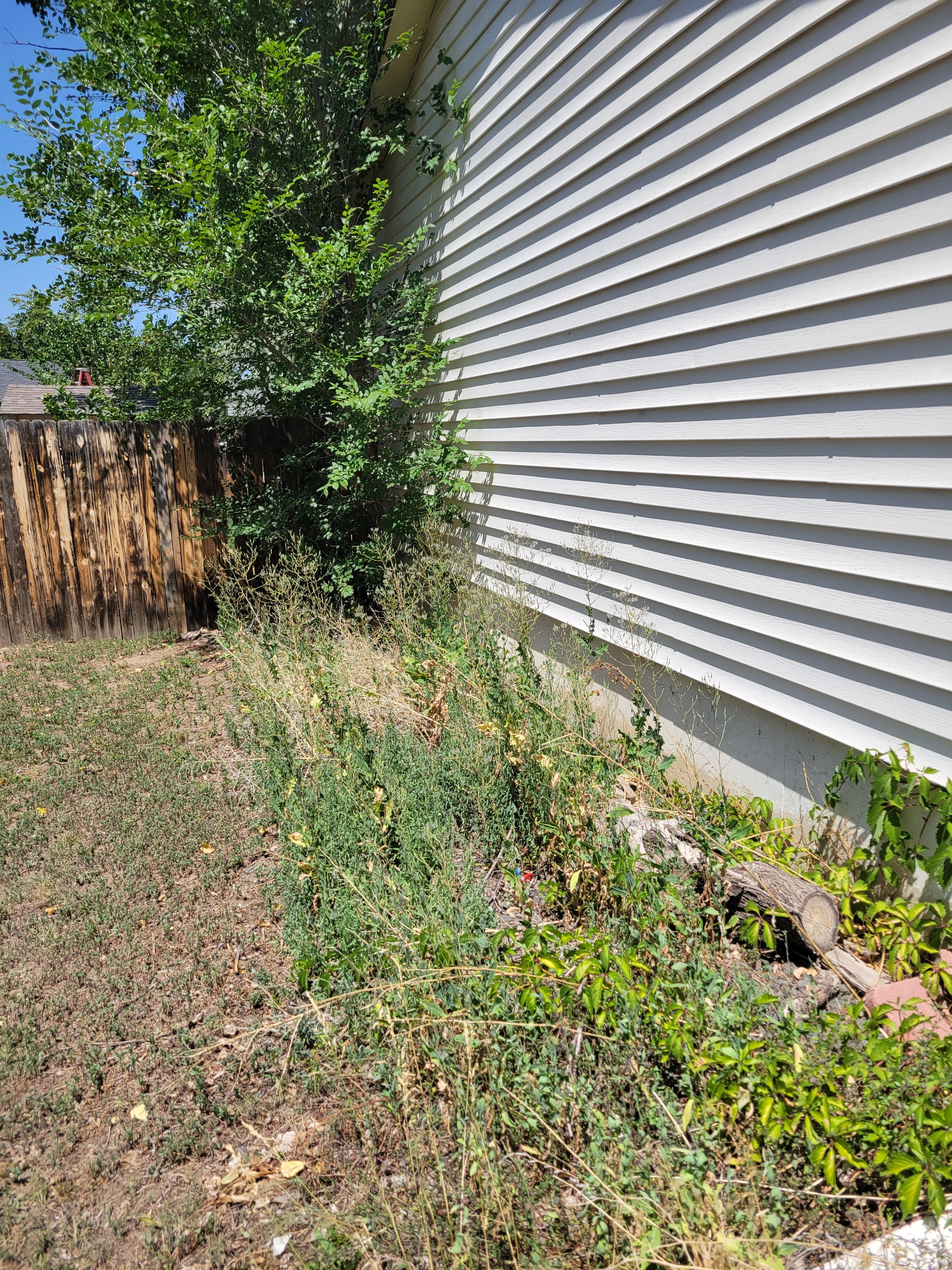  for JS Landscaping Colorado in Denver, CO