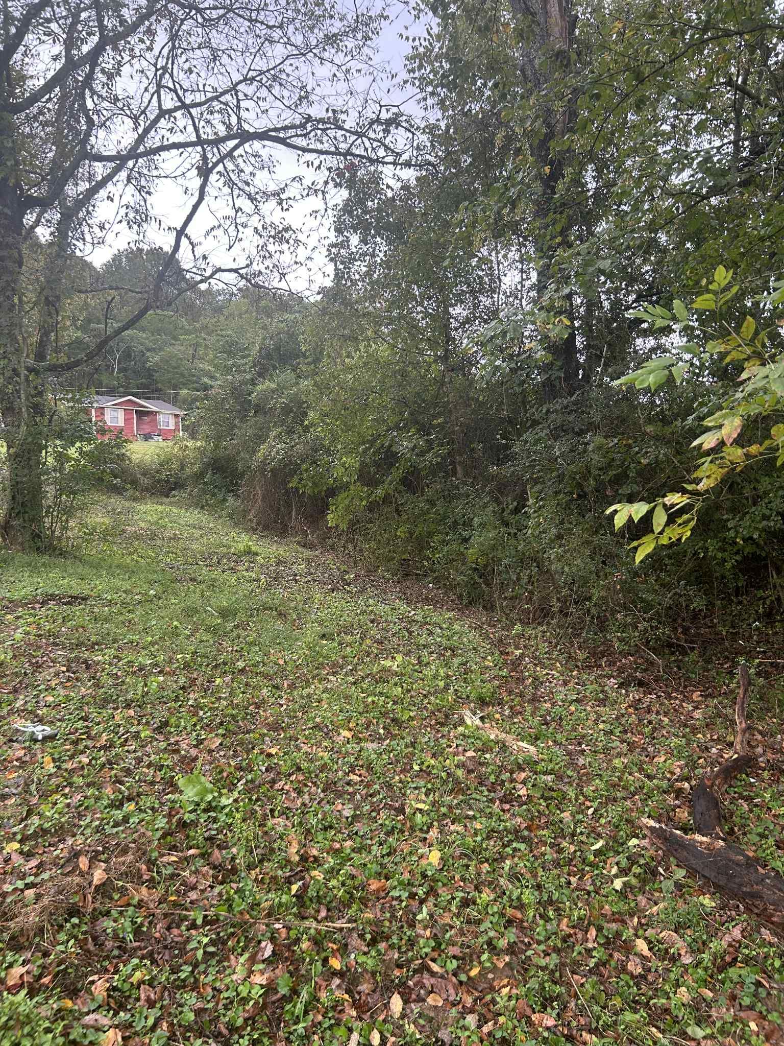  for Z's Land Management & Forestry Mulching in Smithville, TN