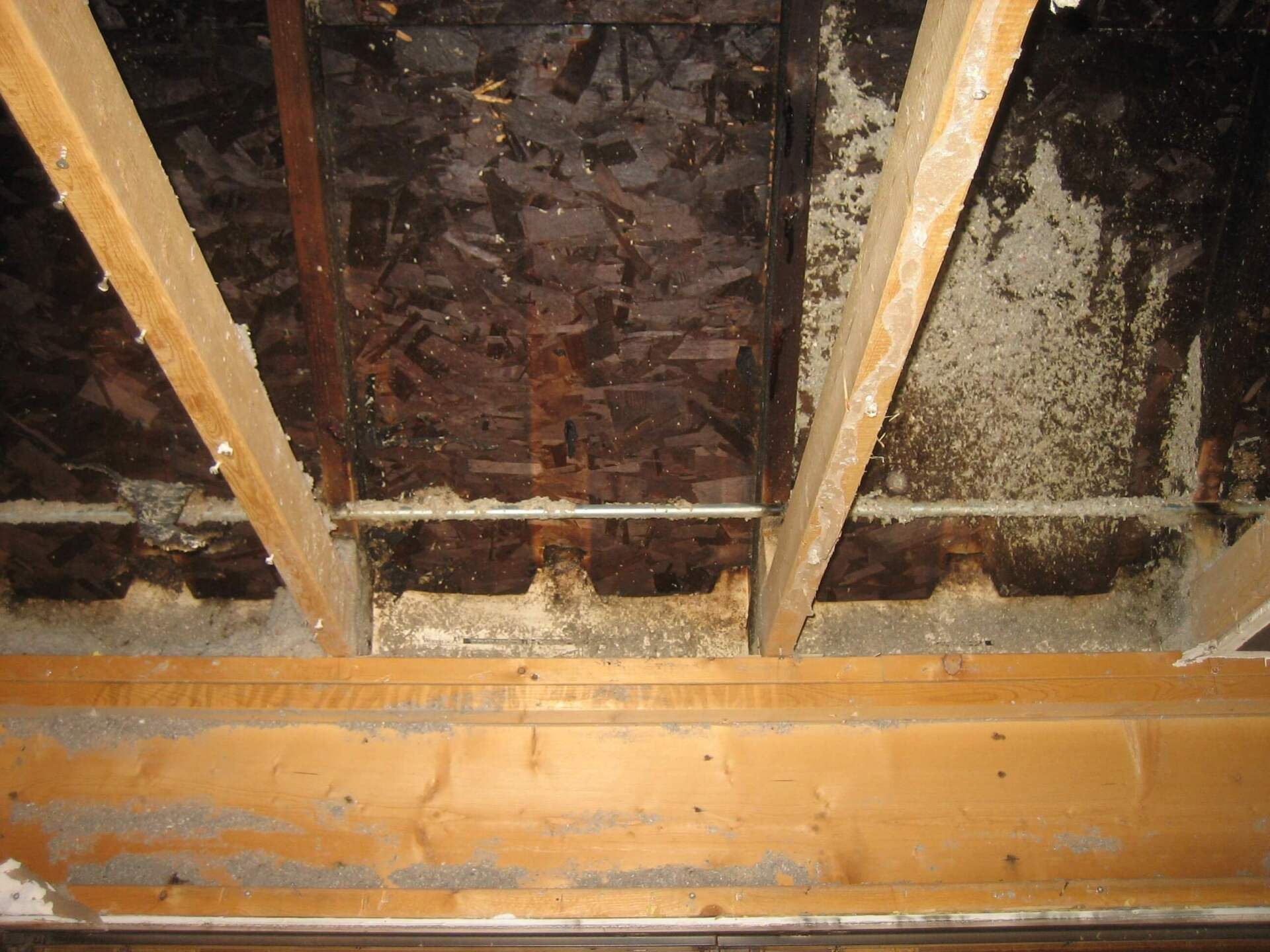 All Photos for Incredible Builders, INC in Huntley, IL