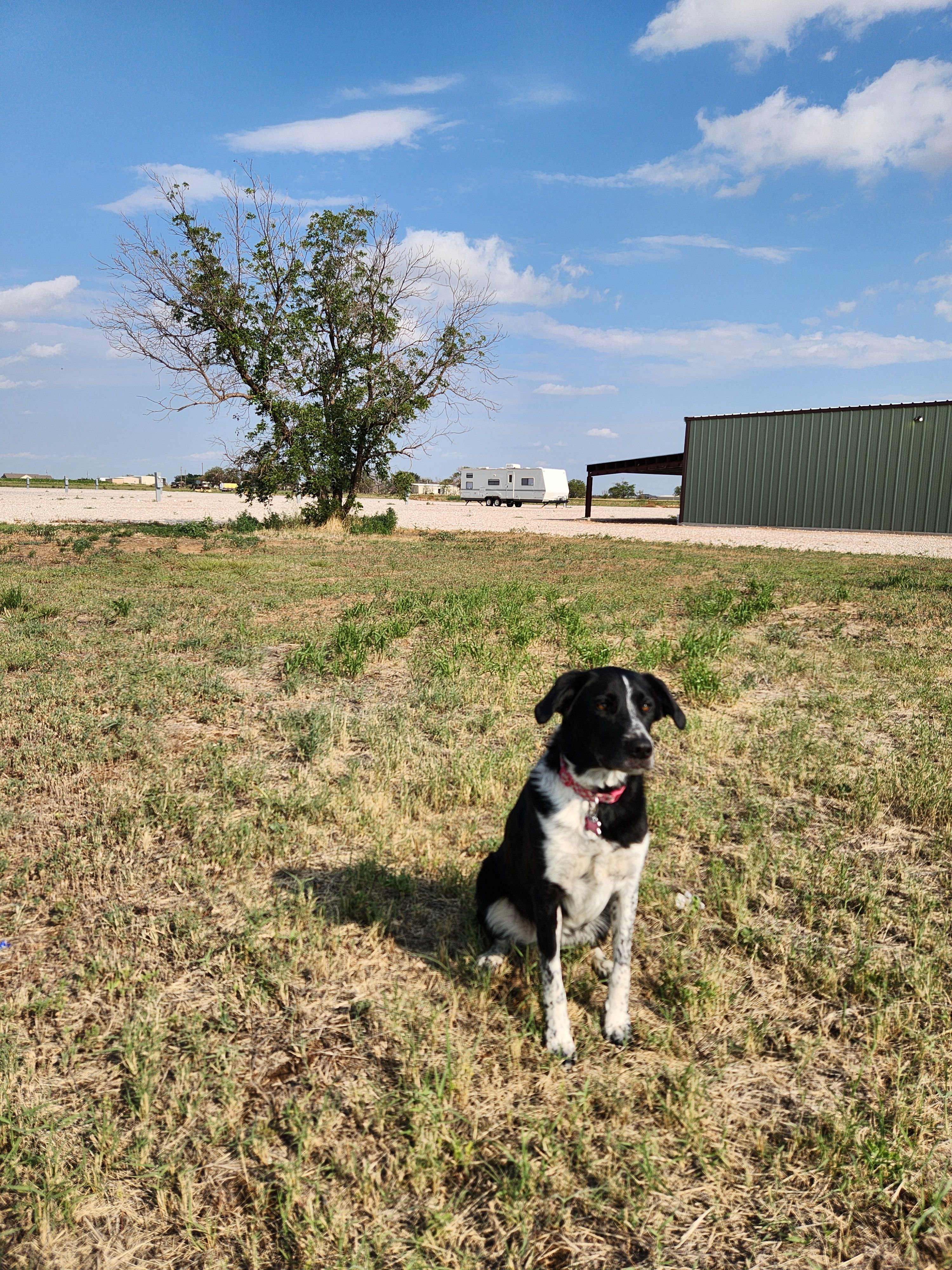 All Photos for Prairie Land Properties LLC in Lubbock, TX