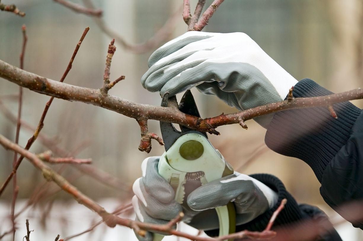  for Terra Heights Tree Experts & Landscaping  in Grass Valley,  CA