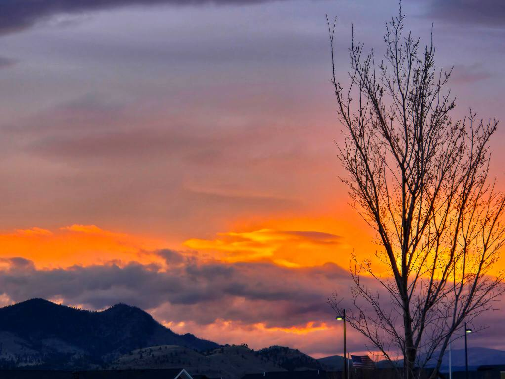  for Eagle Bay Lawn & Landscape LLC in Helena, MT
