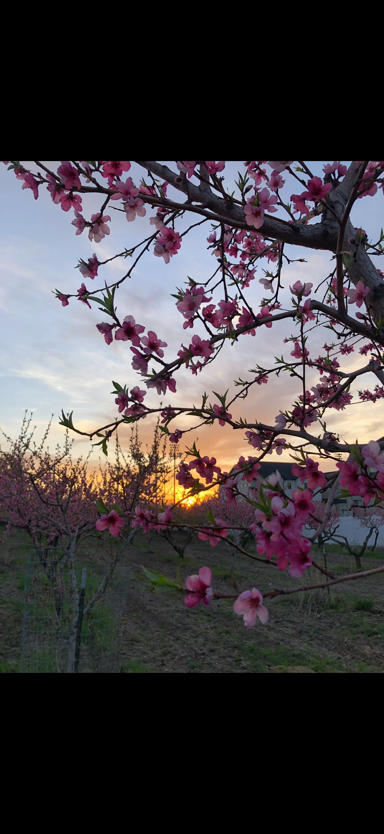  for Duncan Yard Services in Bountiful, UT