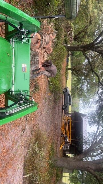  for All Seasons Tree and Land Works in Trenton, FL