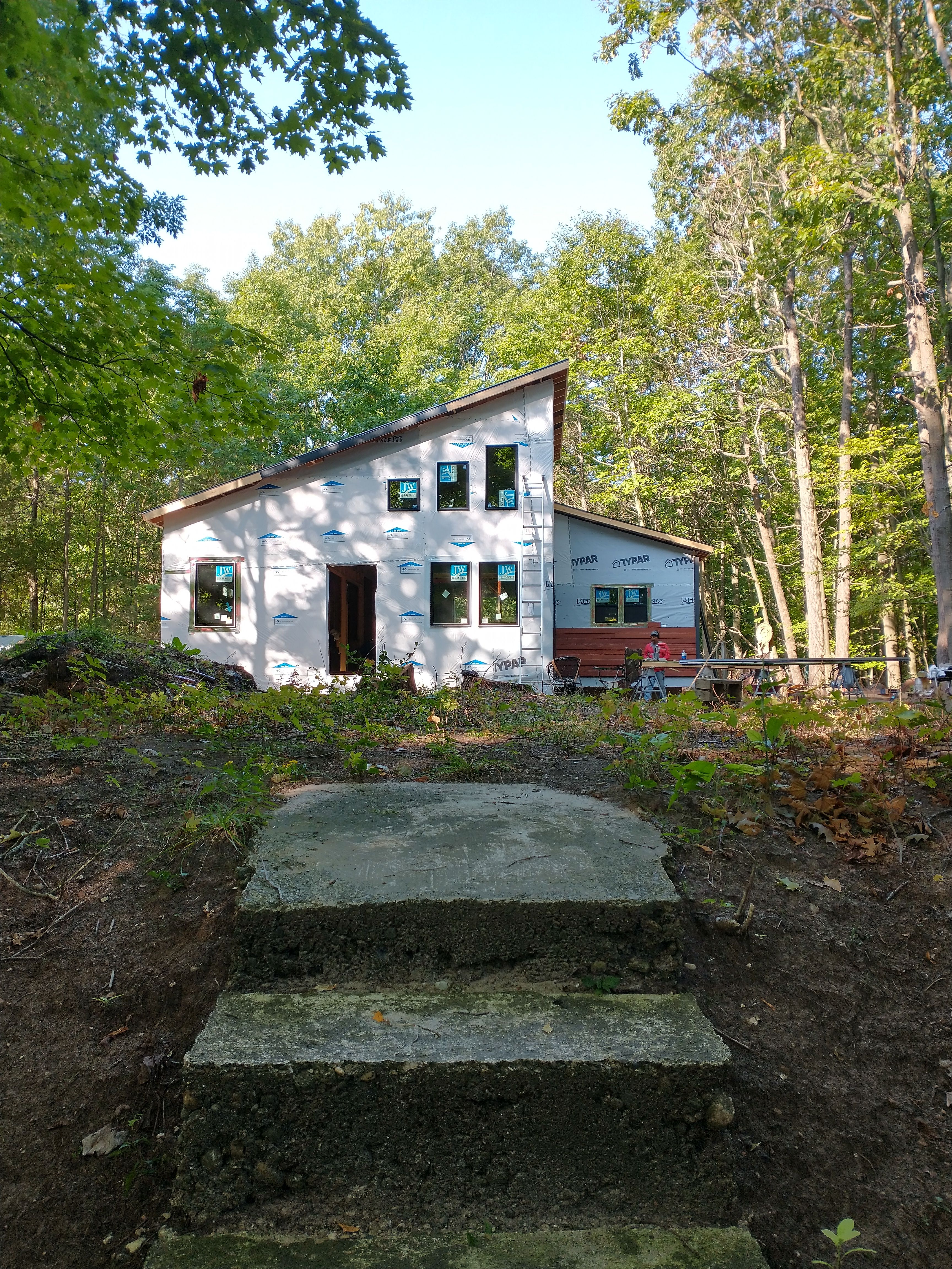 Window Installation for Troy Jones Renovation in Fennville, MI