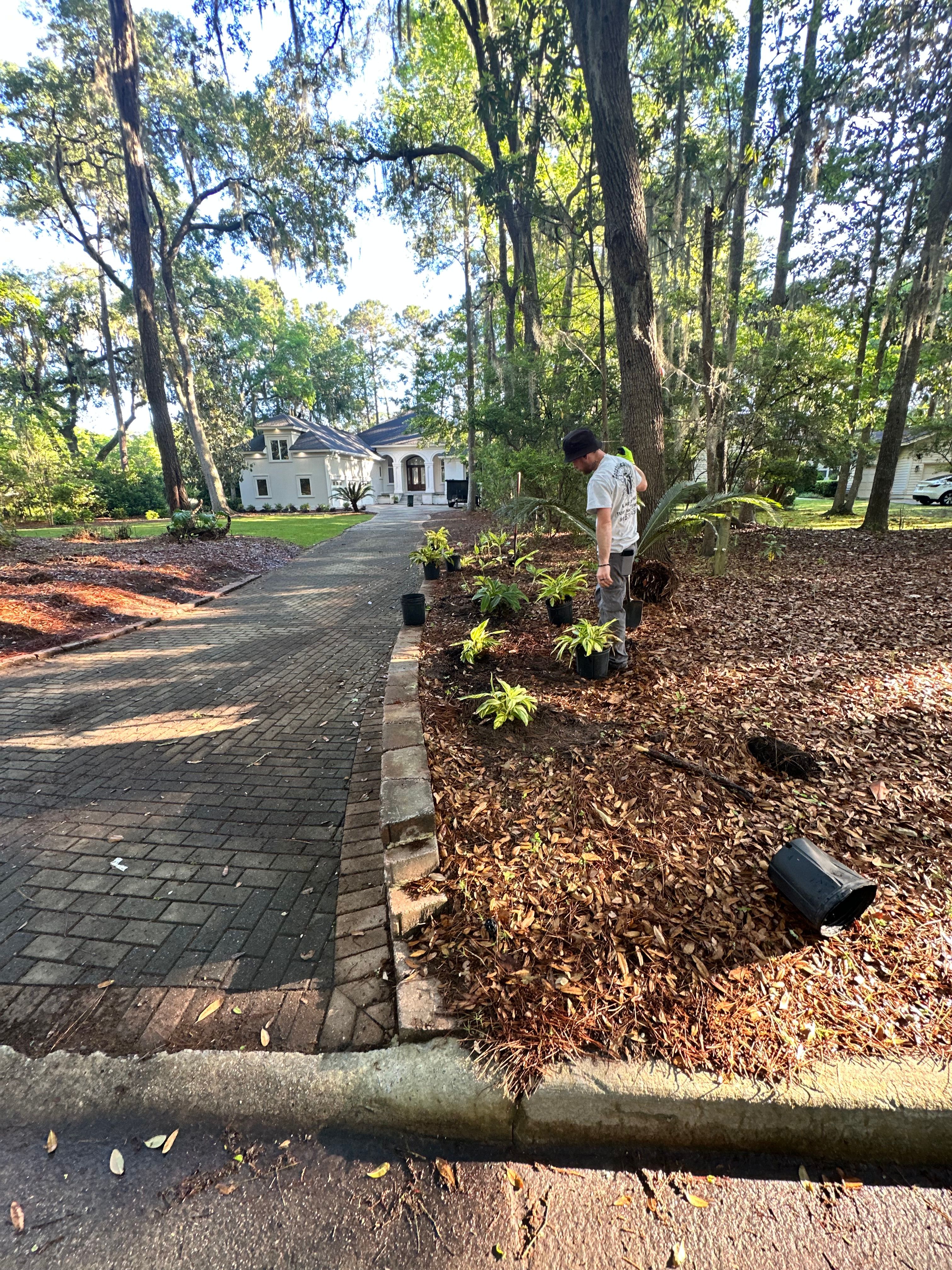  for Coastalscapes Landscaping & Turf Management  in Savannah, GA