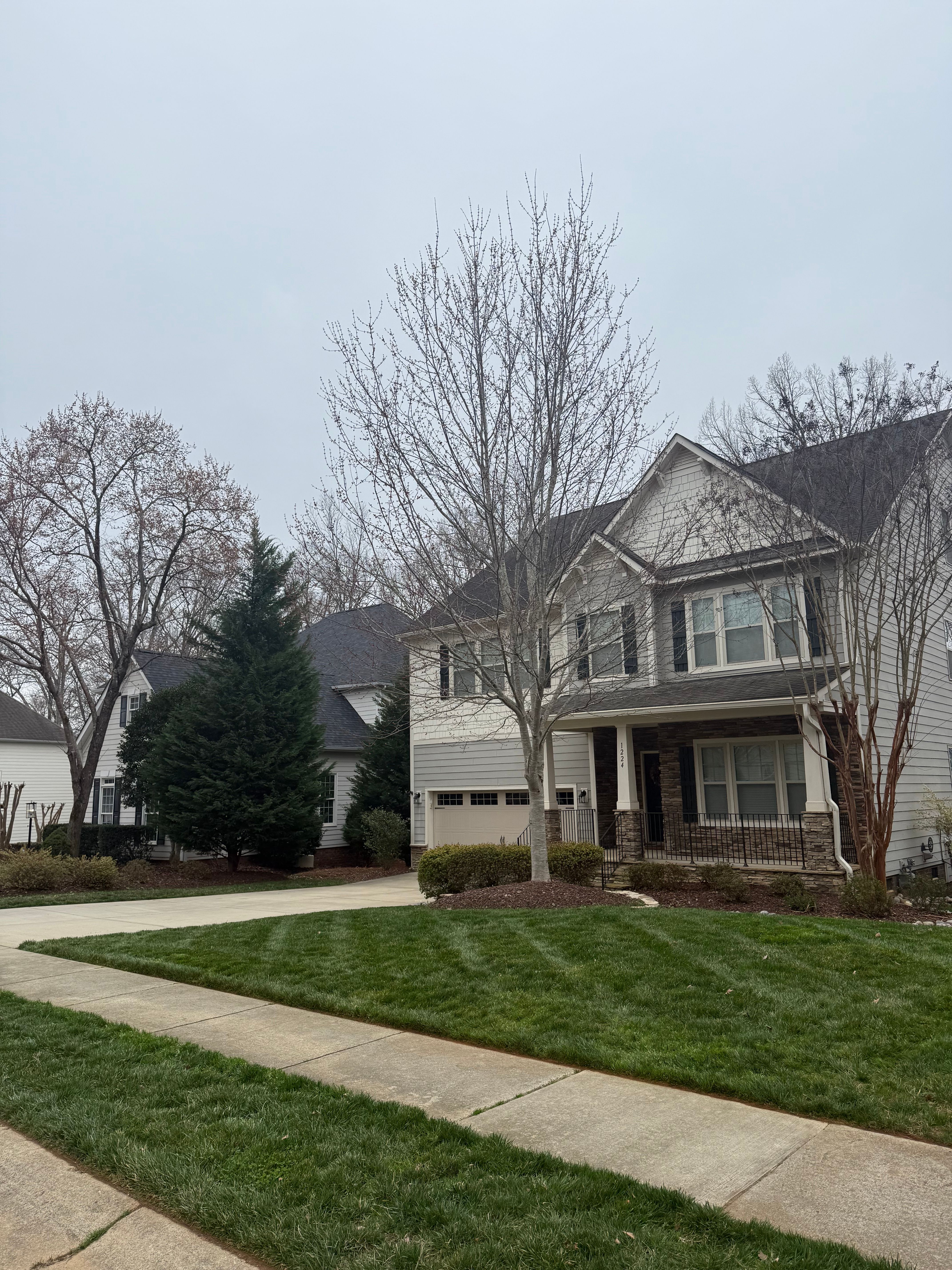  for Blue Sky Turf in Monroe, NC