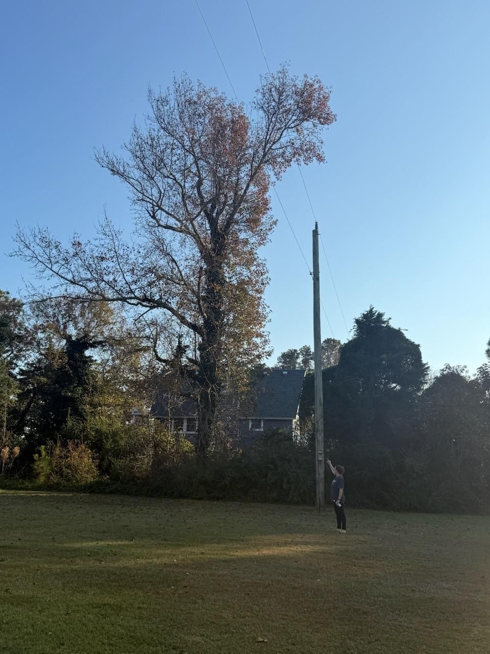  for Beach Tree Care in Virginia Beach, VA