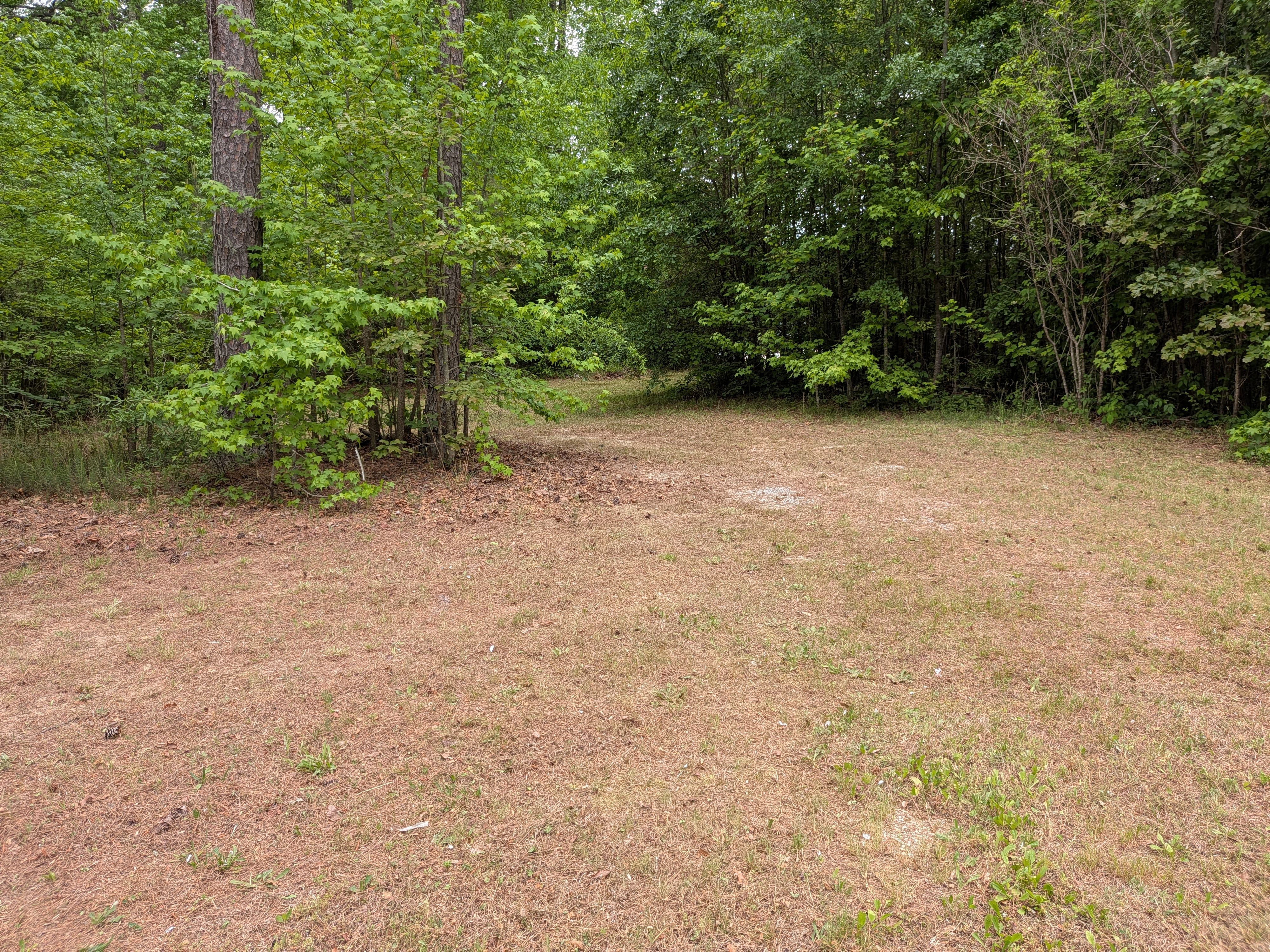 All Photos for LawnTherapy in Lawrenceville, VA