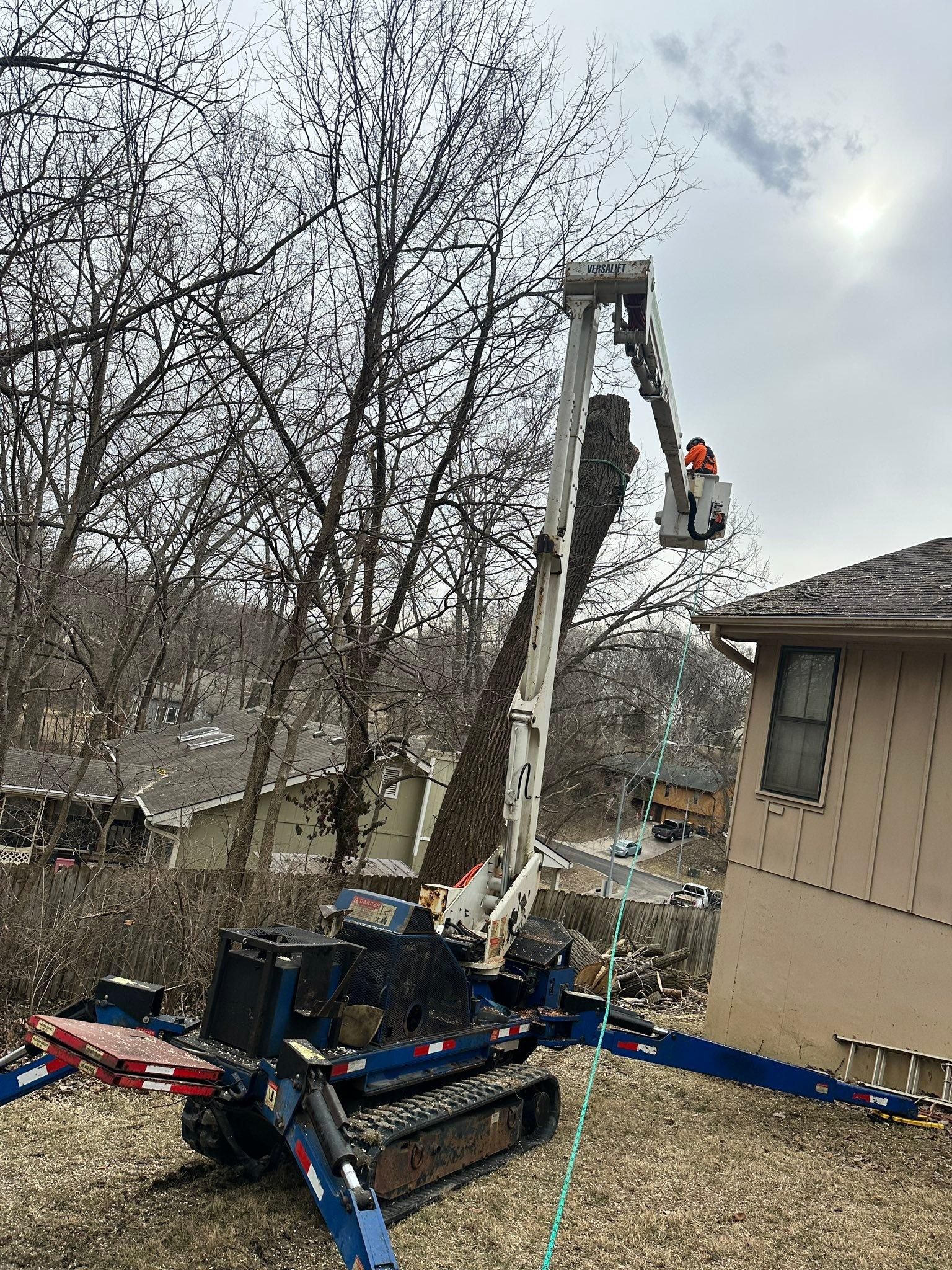 All Photos for Cross Family Tree Service in Kearney, MO