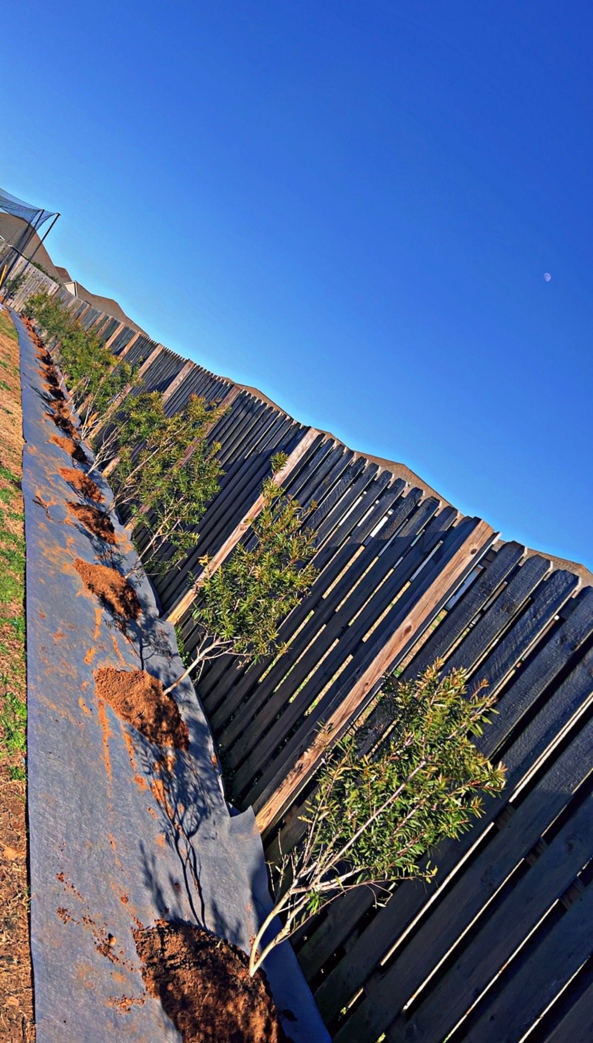  for Enhanced Landscape in Daphne, AL