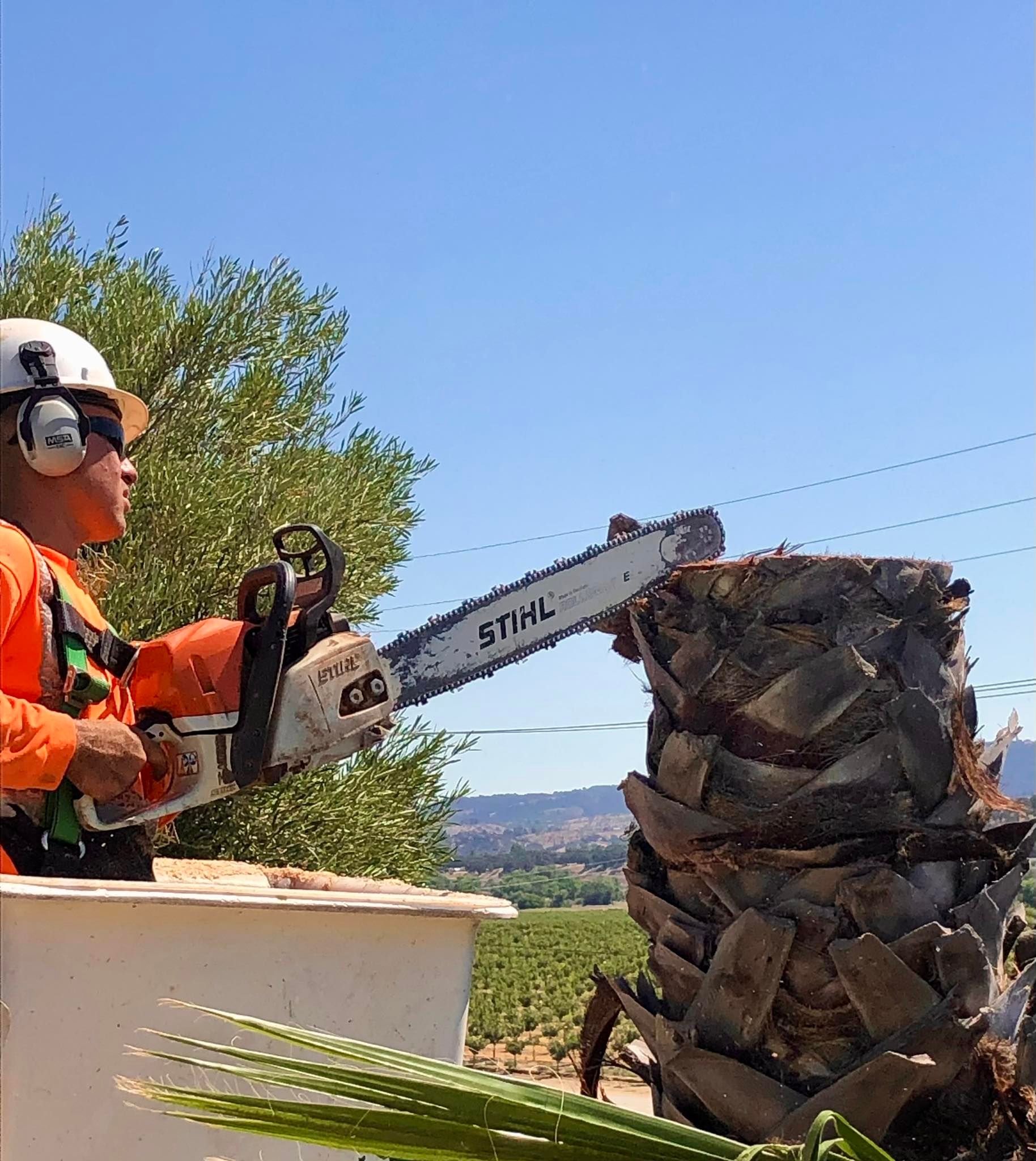 for A1 Junk & Tree Solutions, LLC in Paso Robles, CA