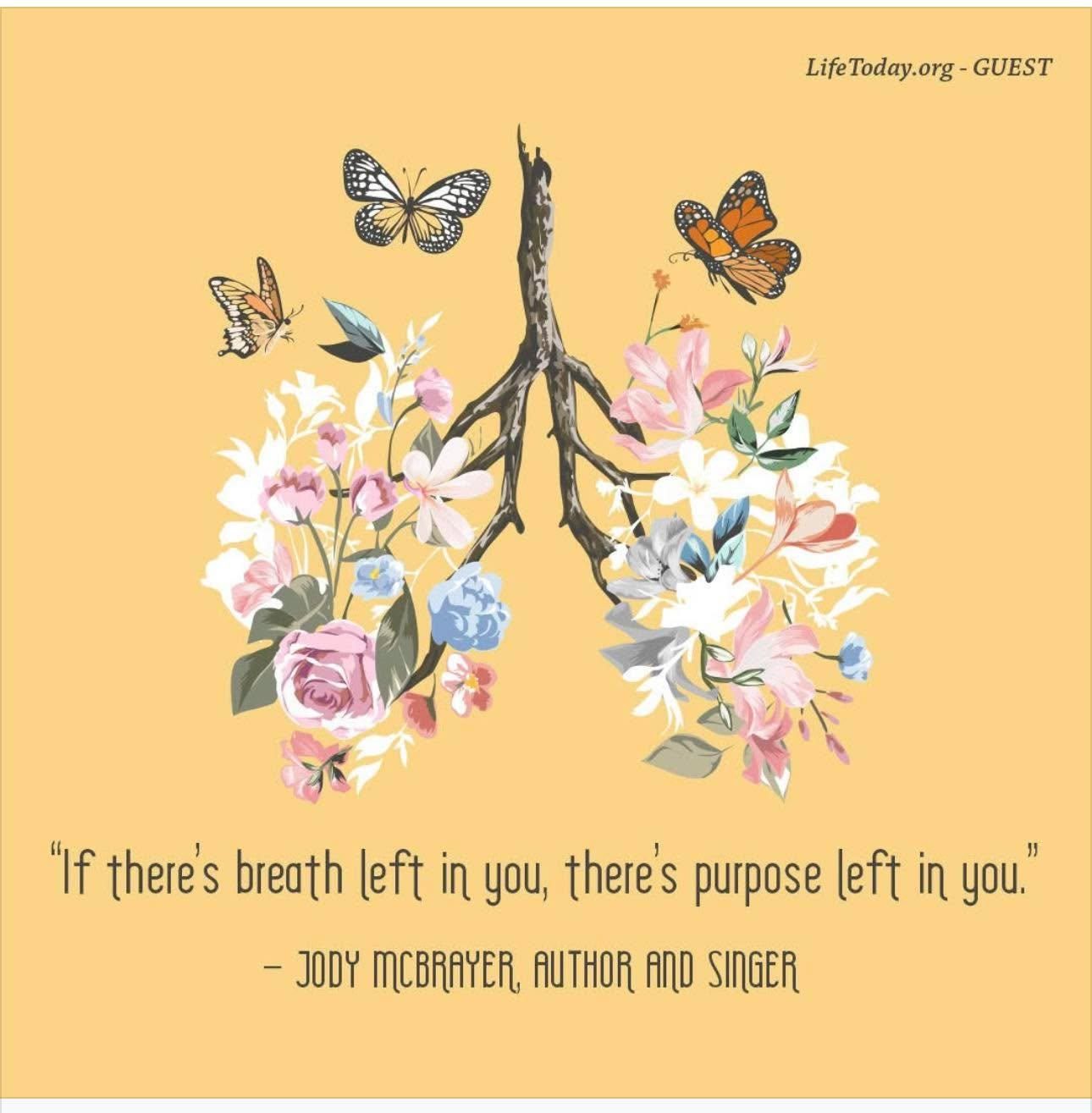  for The Dailey Daisy in Hardwick, VT