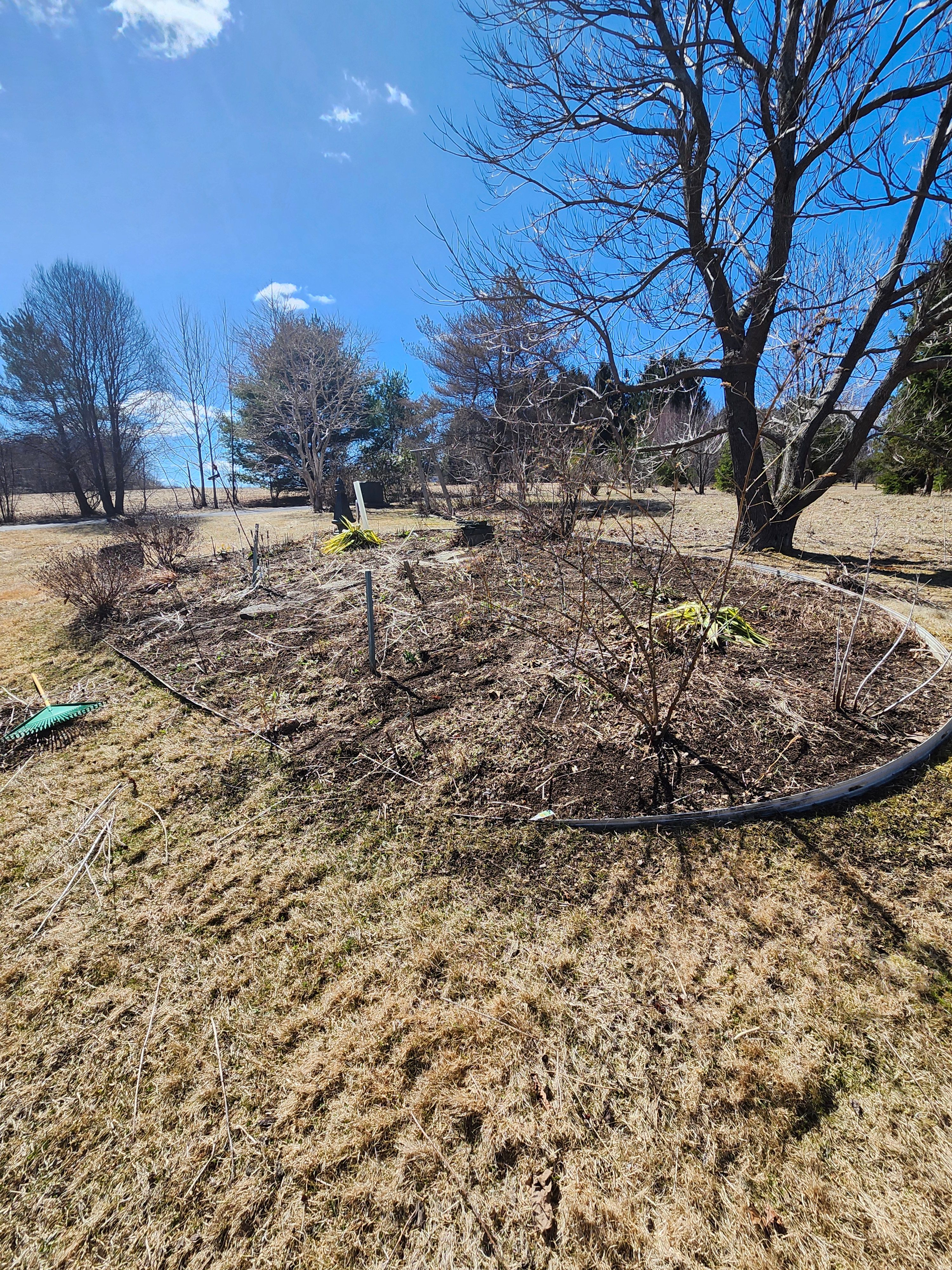 Muclhing & Weeding for Landscape Innovations LLC in Torrington, CT